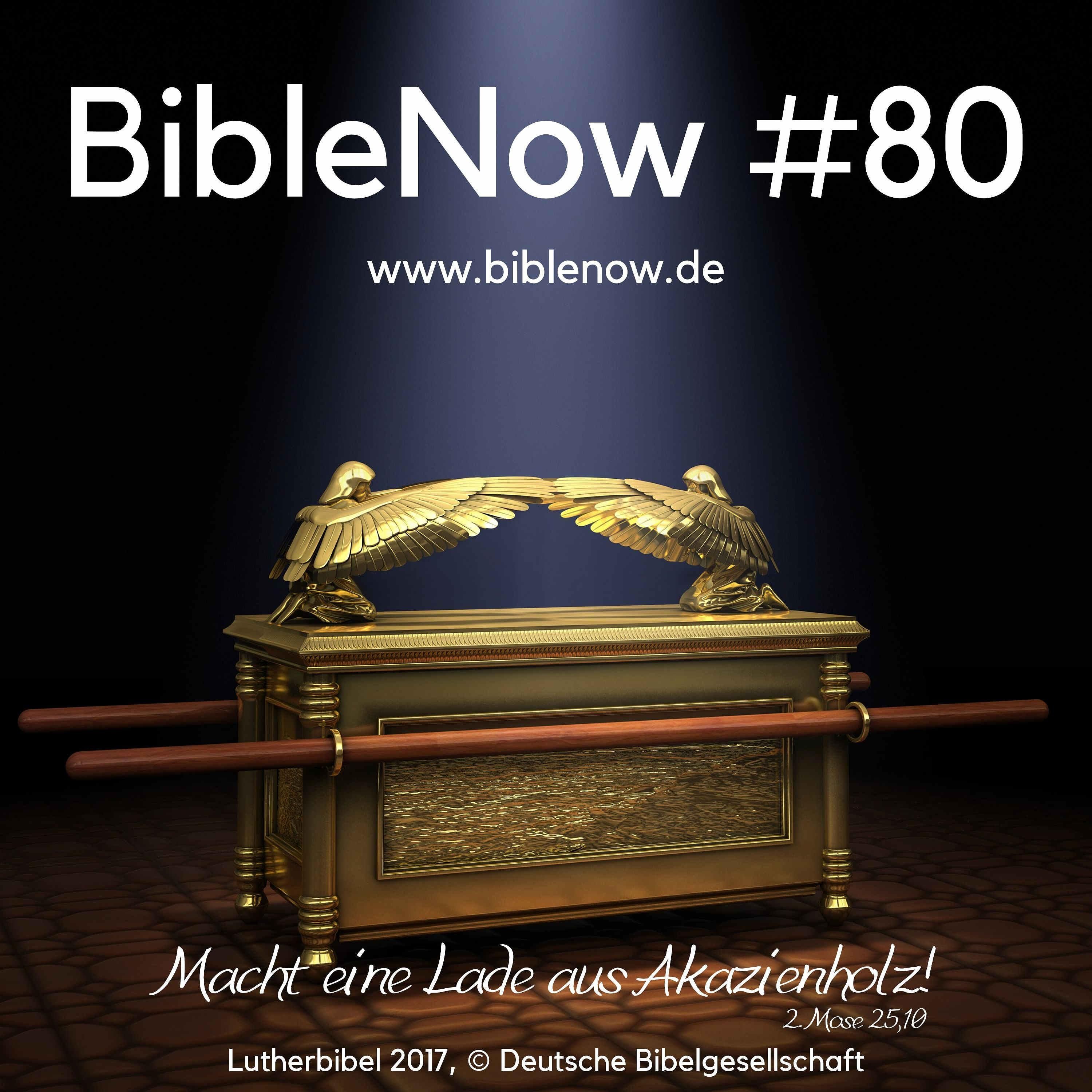 BibleNow #80: 2. Mose 25,10-26,35