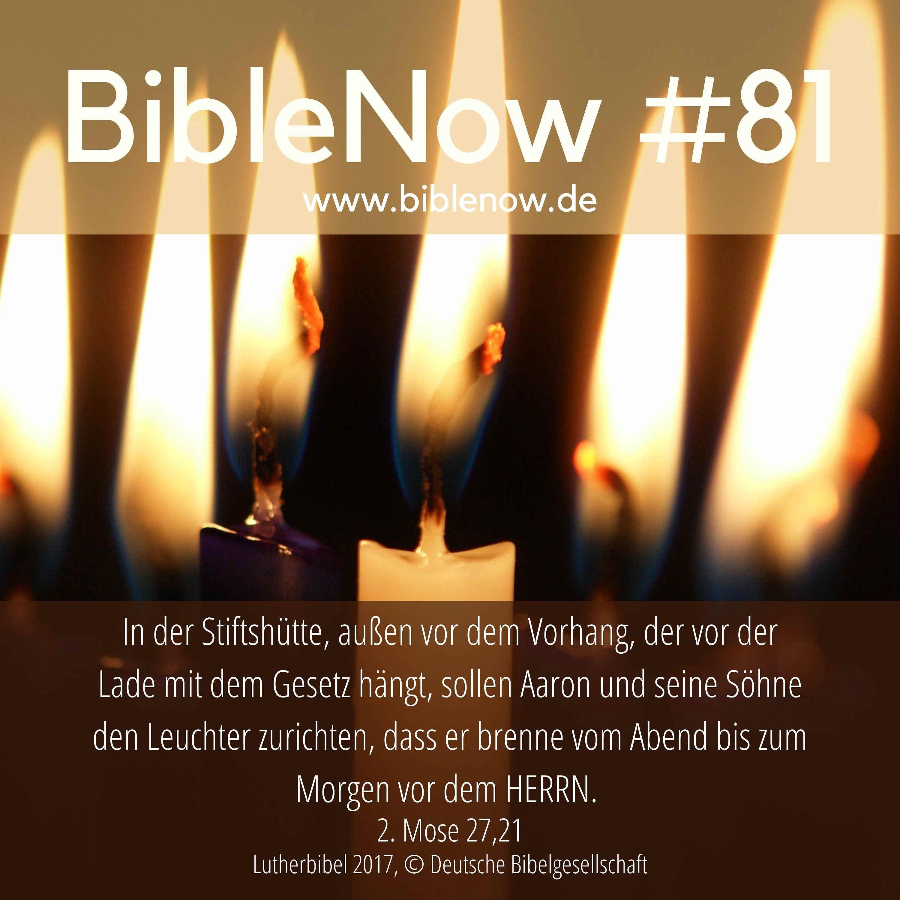BibleNow #81: 2. Mose 26,36-28,5