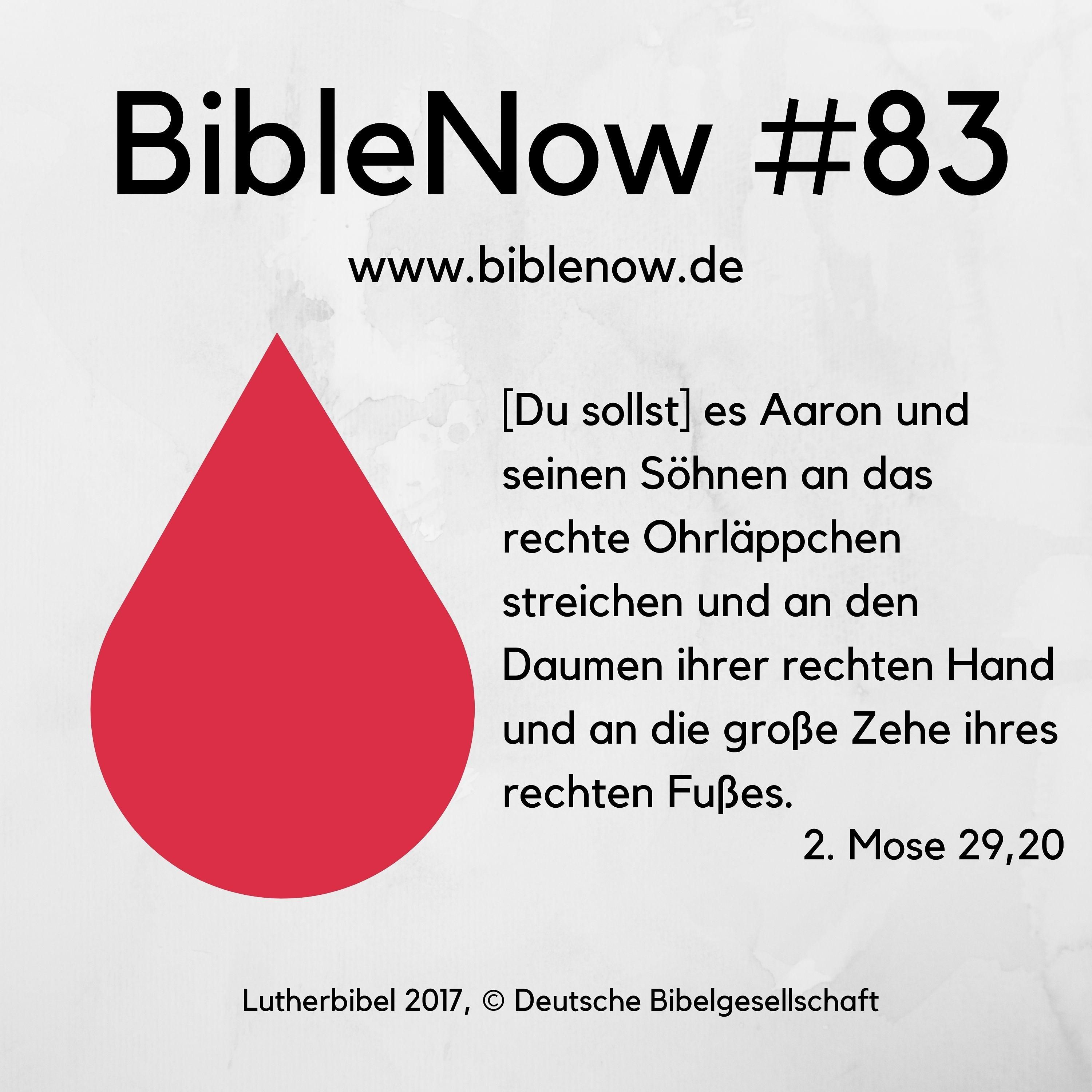 BibleNow #83: 2. Mose 28,31-29,20