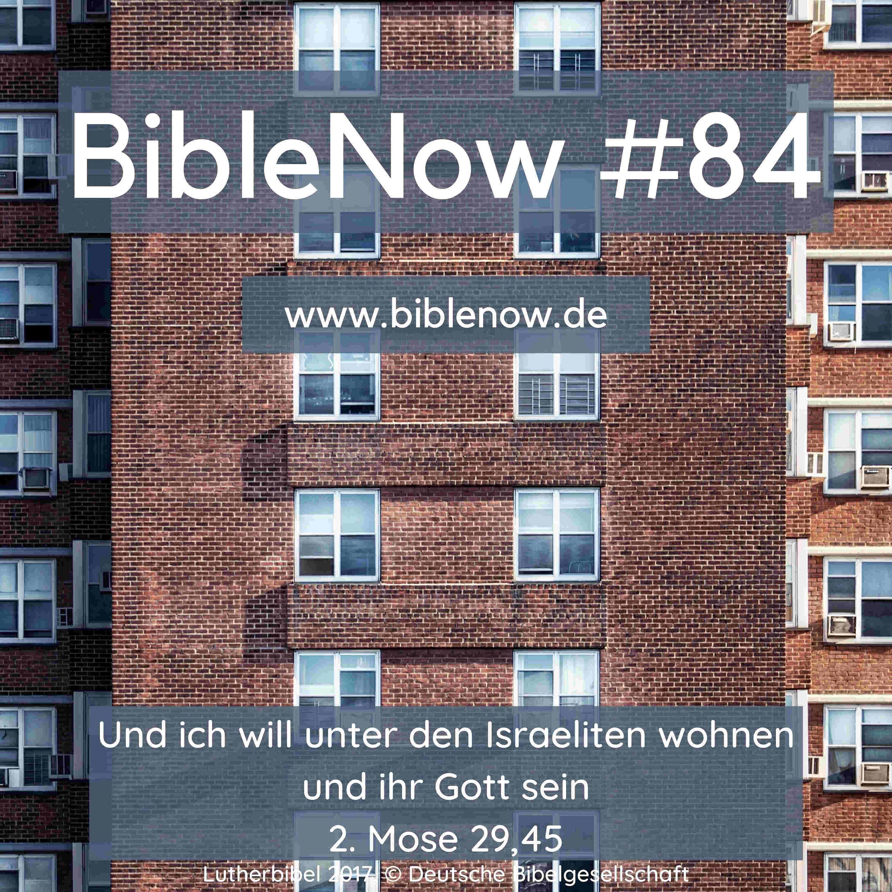 BibleNow #84: 2. Mose 29,21-46