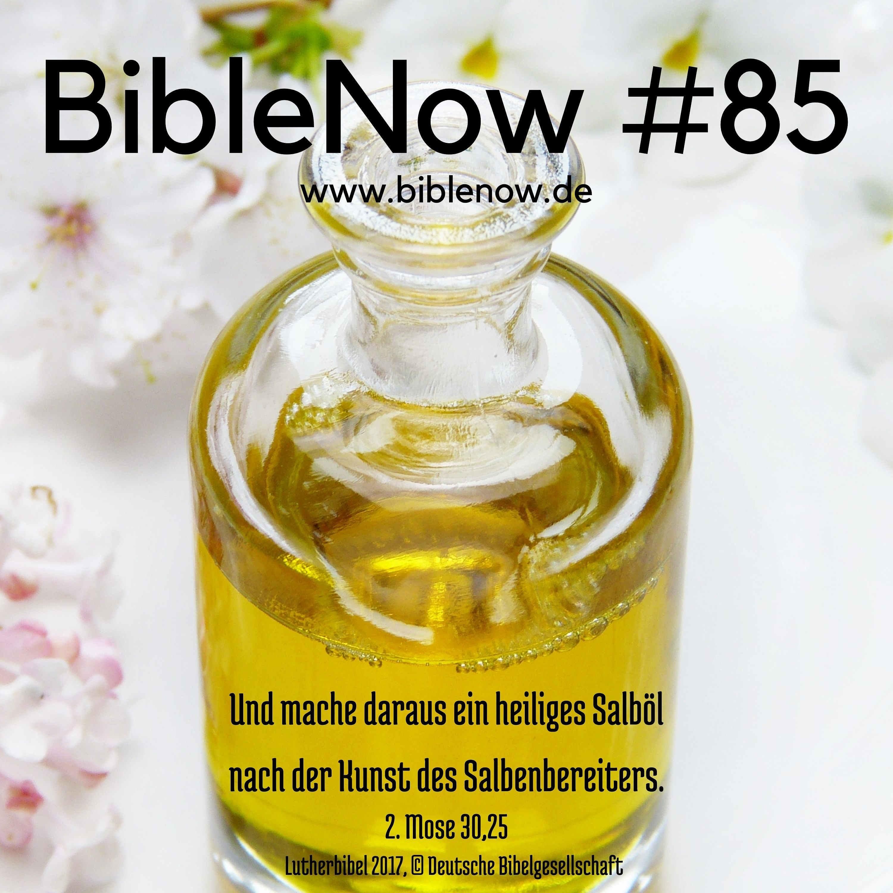 BibleNow #85: 2. Mose 30,1-31,5