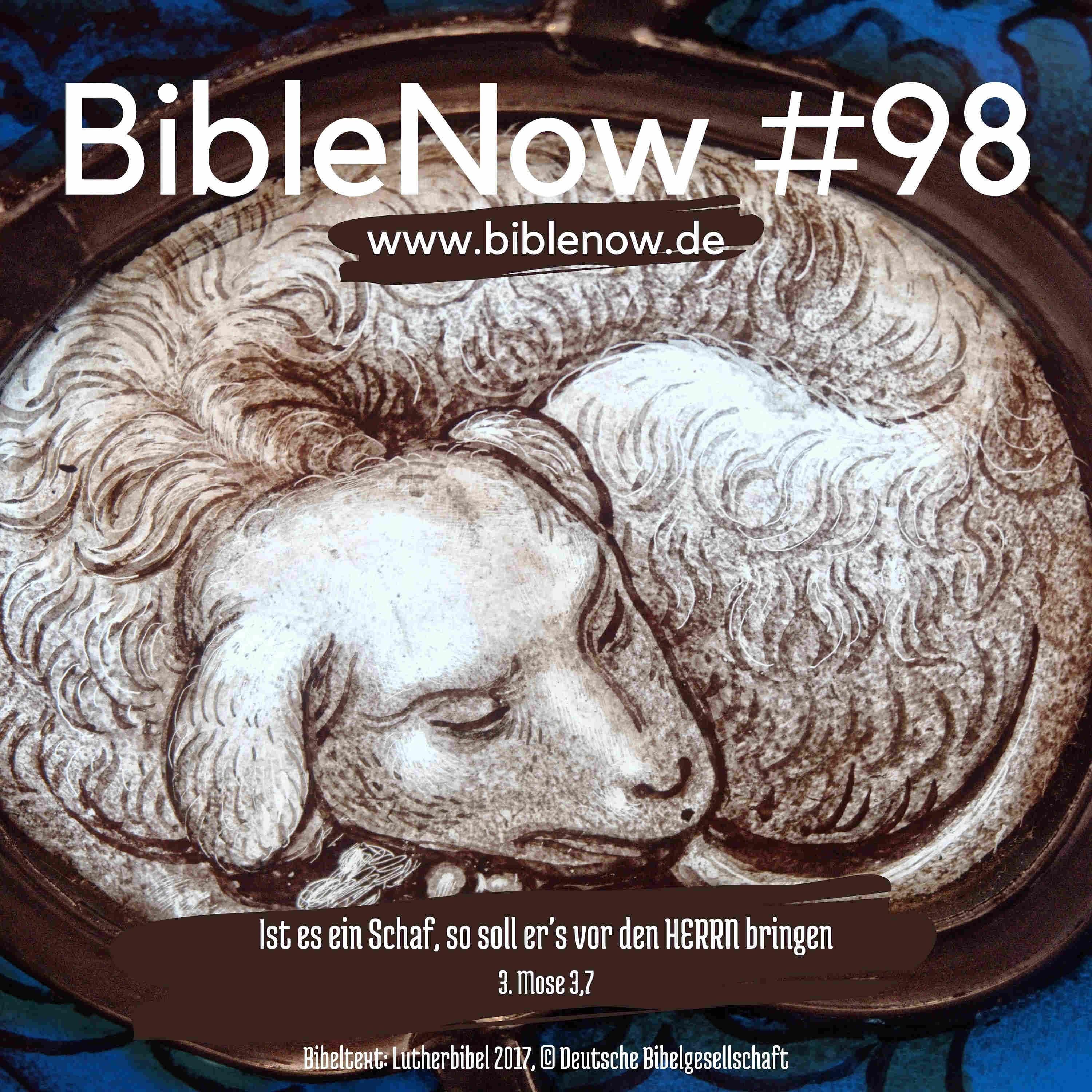 BibleNow #98: 3. Mose 3,6-4,21