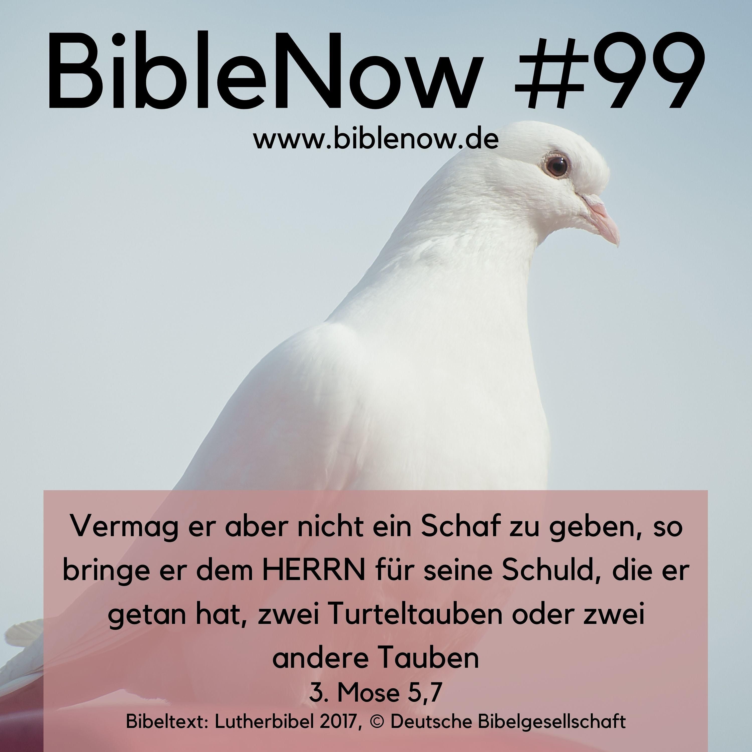 BibleNow #99: 3. Mose 4,22-5,13
