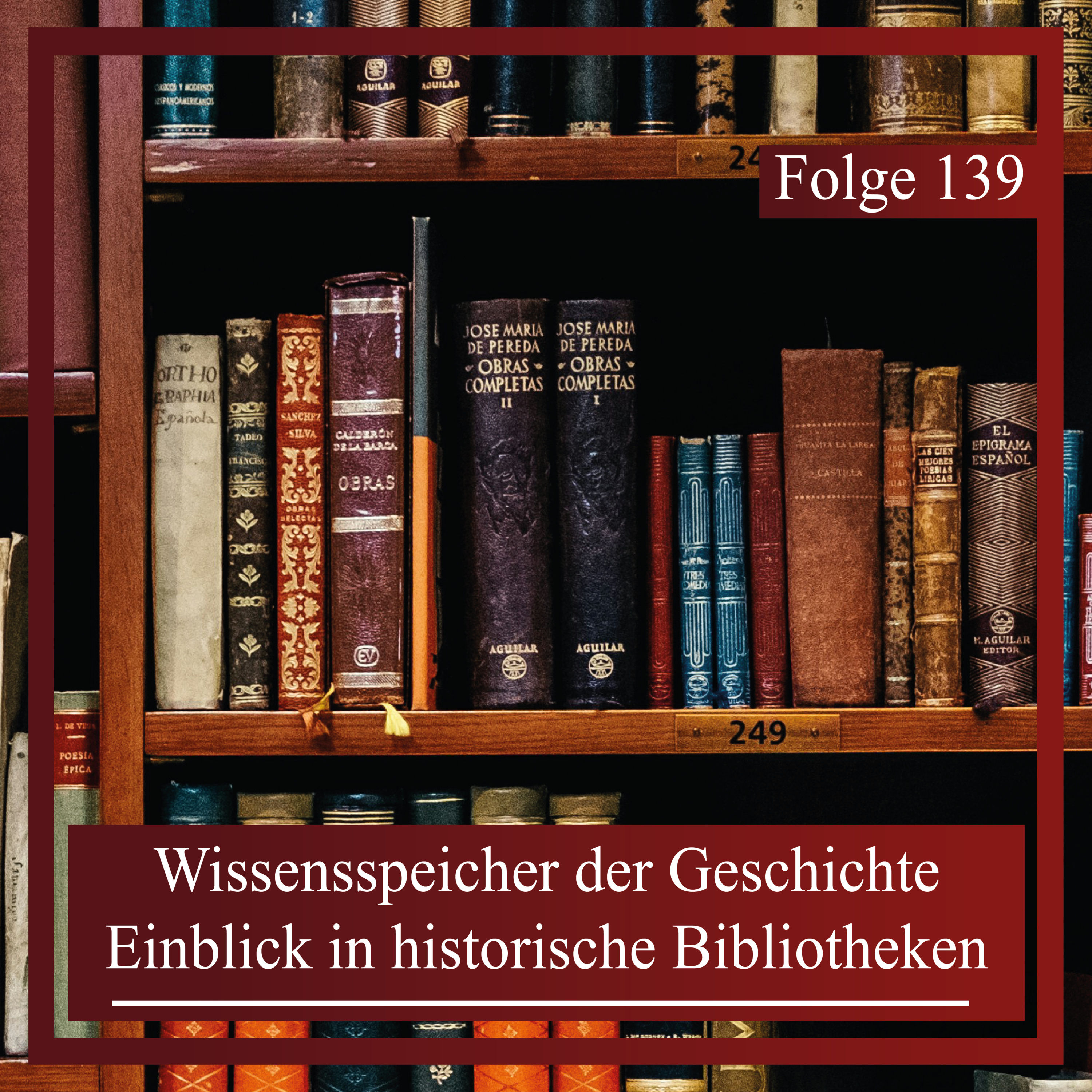 Bibliotheken. Wissensspeicher der Geschichte