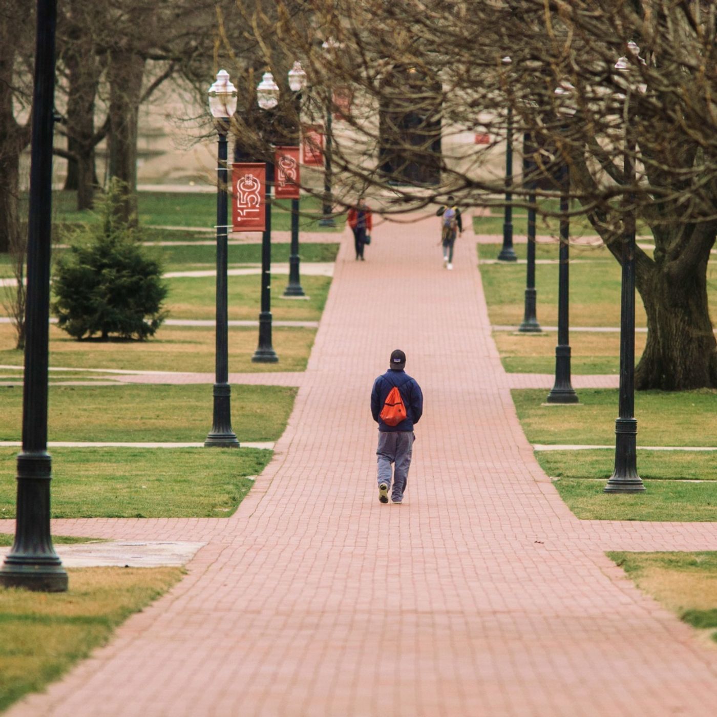 Big Tech Told Kids to Code. The Jobs Didn’t Follow.