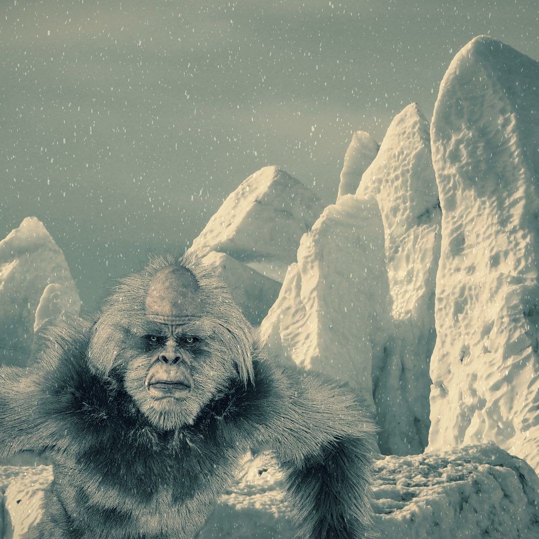 Bigfoot & Yeti (Kryptozoologie) – 16. Folge