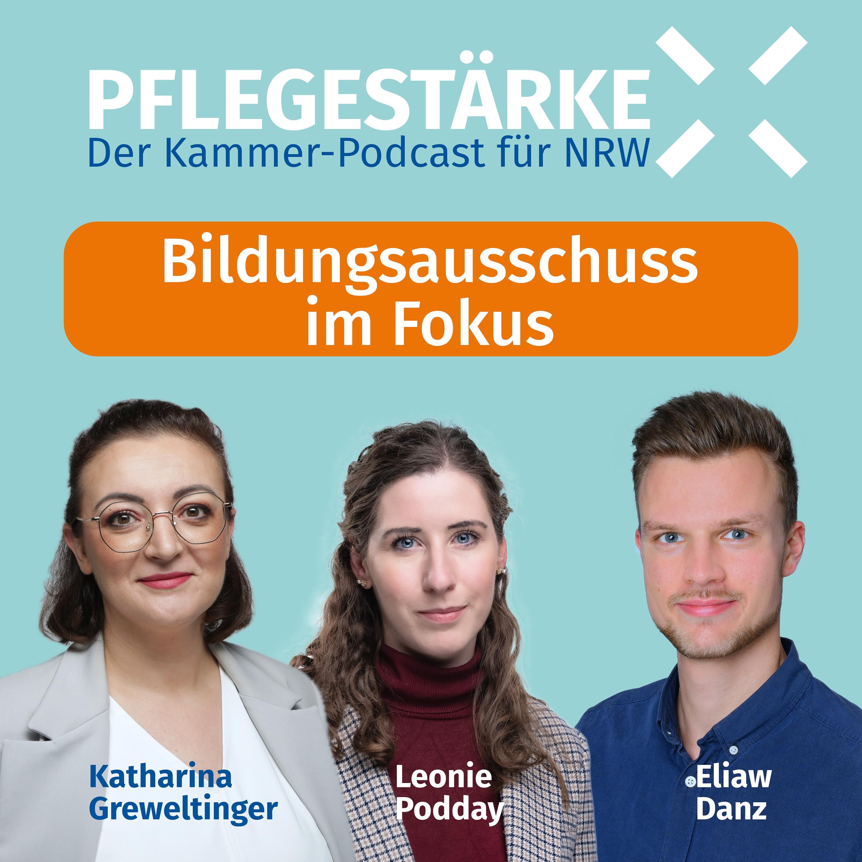 Bildungsausschuss im Fokus