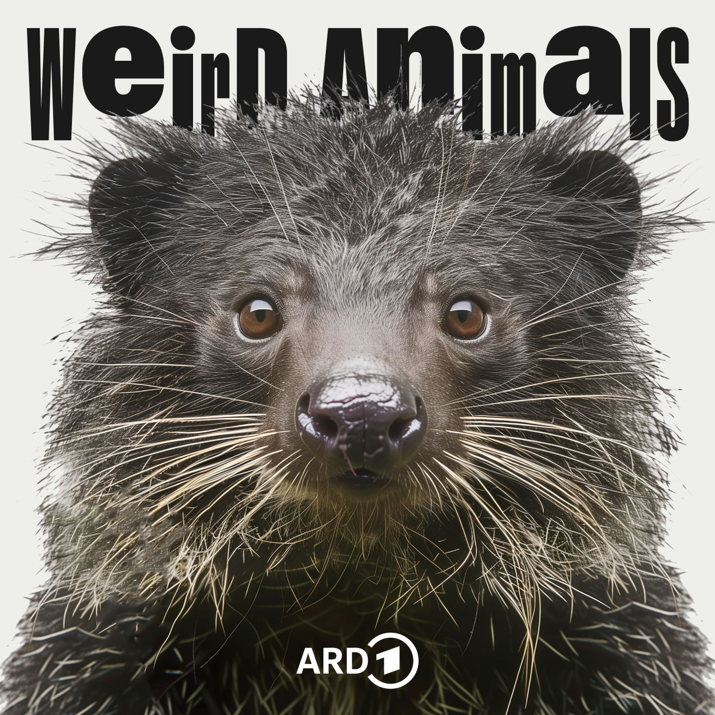 Binturong - Der Jeremy Fragrance der Tierwelt? (mit Aurel Mertz)