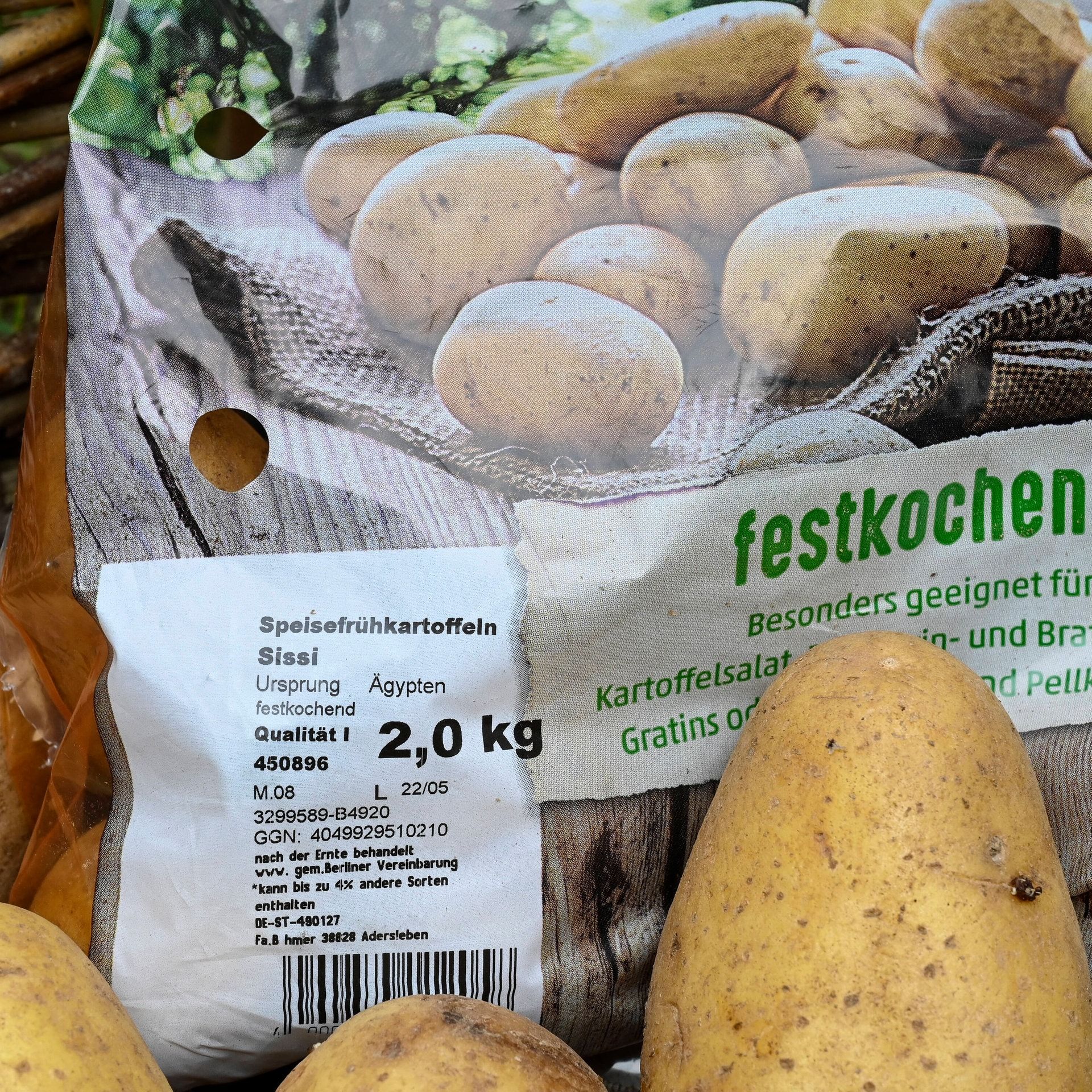 Bio-Kartoffeln aus Ägypten – brauchen wir das?