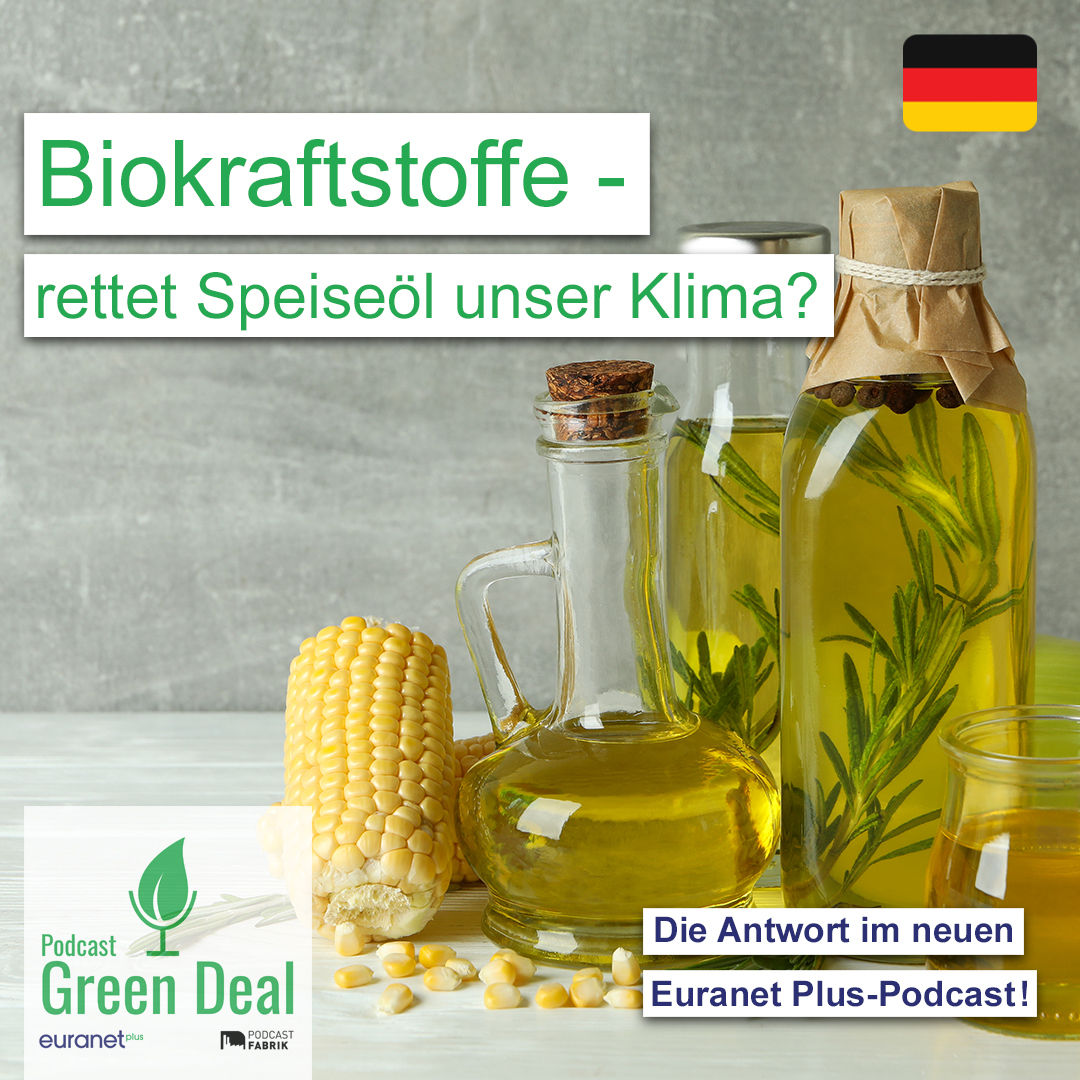 Biobrennstoffe: Rettet Speiseöl unser Klima?