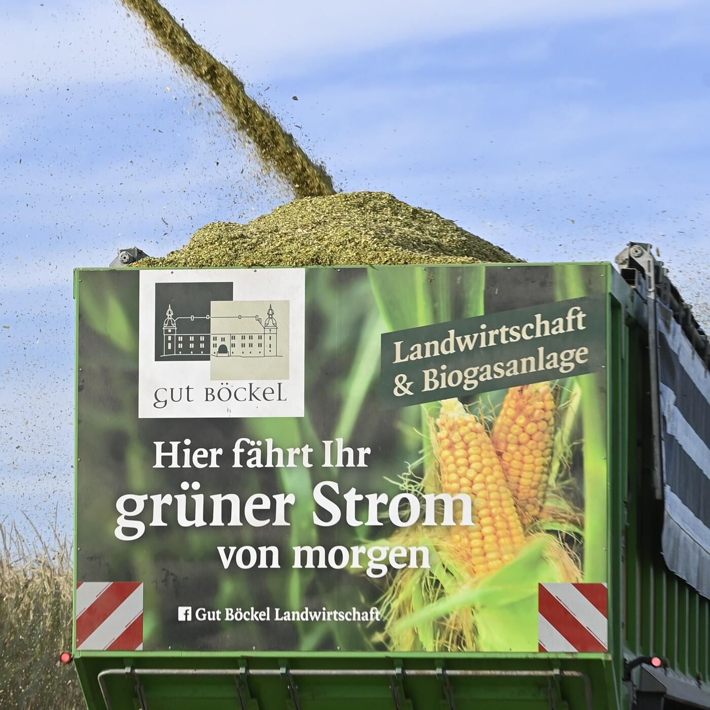 "Biogas leistet dasselbe wie Gaskraftwerke - 50 Milliarden Euro günstiger" - Sandra Rostek (HBB)