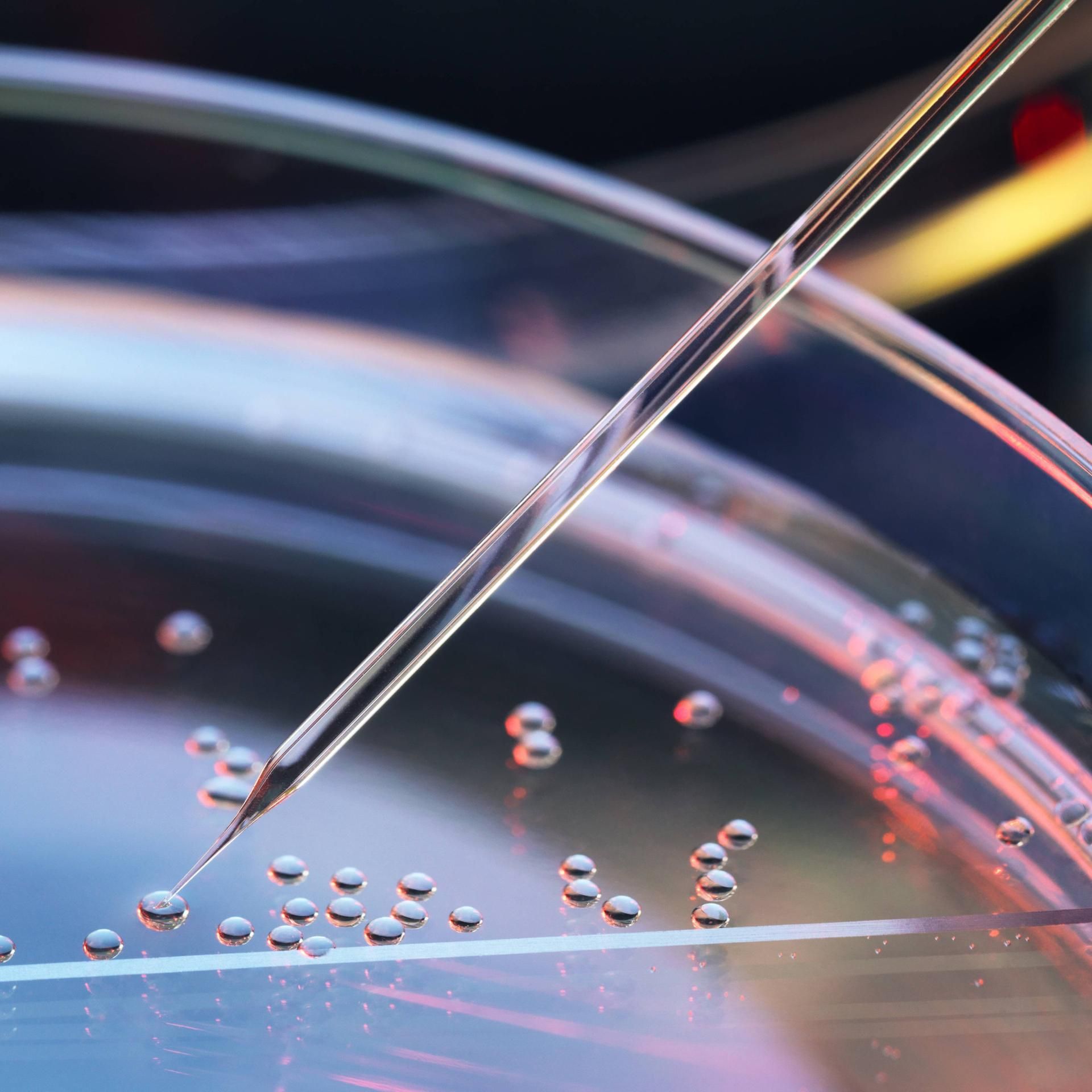 Biomedizin - Warum Deutschland einen Sonderweg geht
