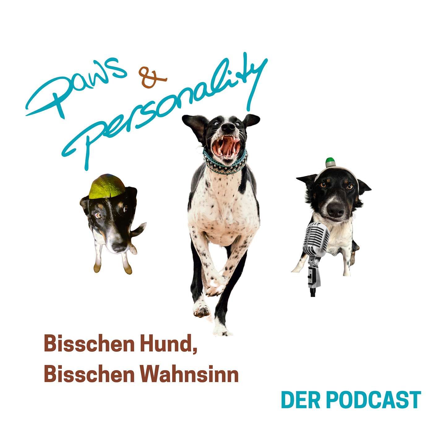 Bisschen Hund, bisschen Wahnsinn - Grenzen setzen mal anders betrachtet