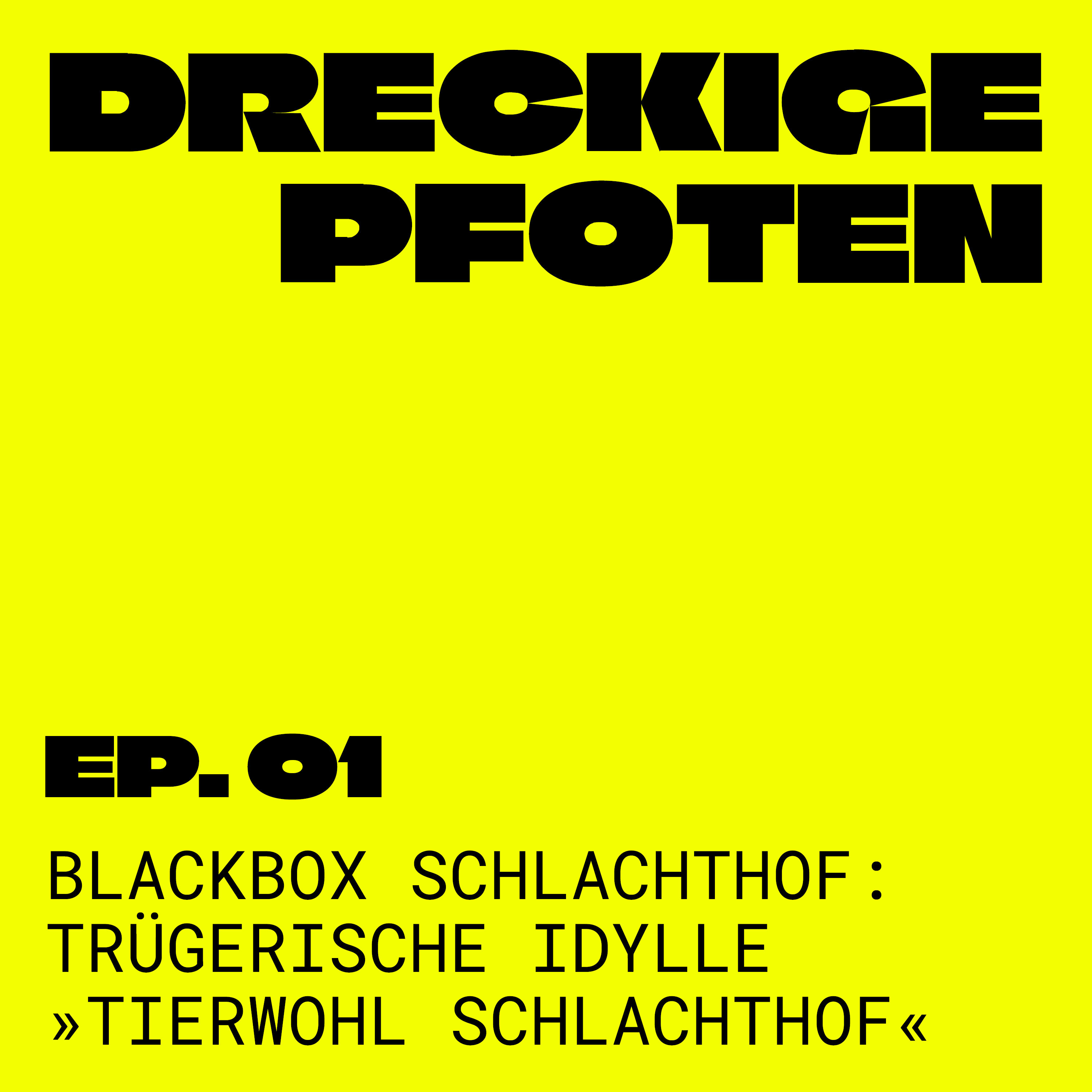 Blackbox Schlachthof 1/3