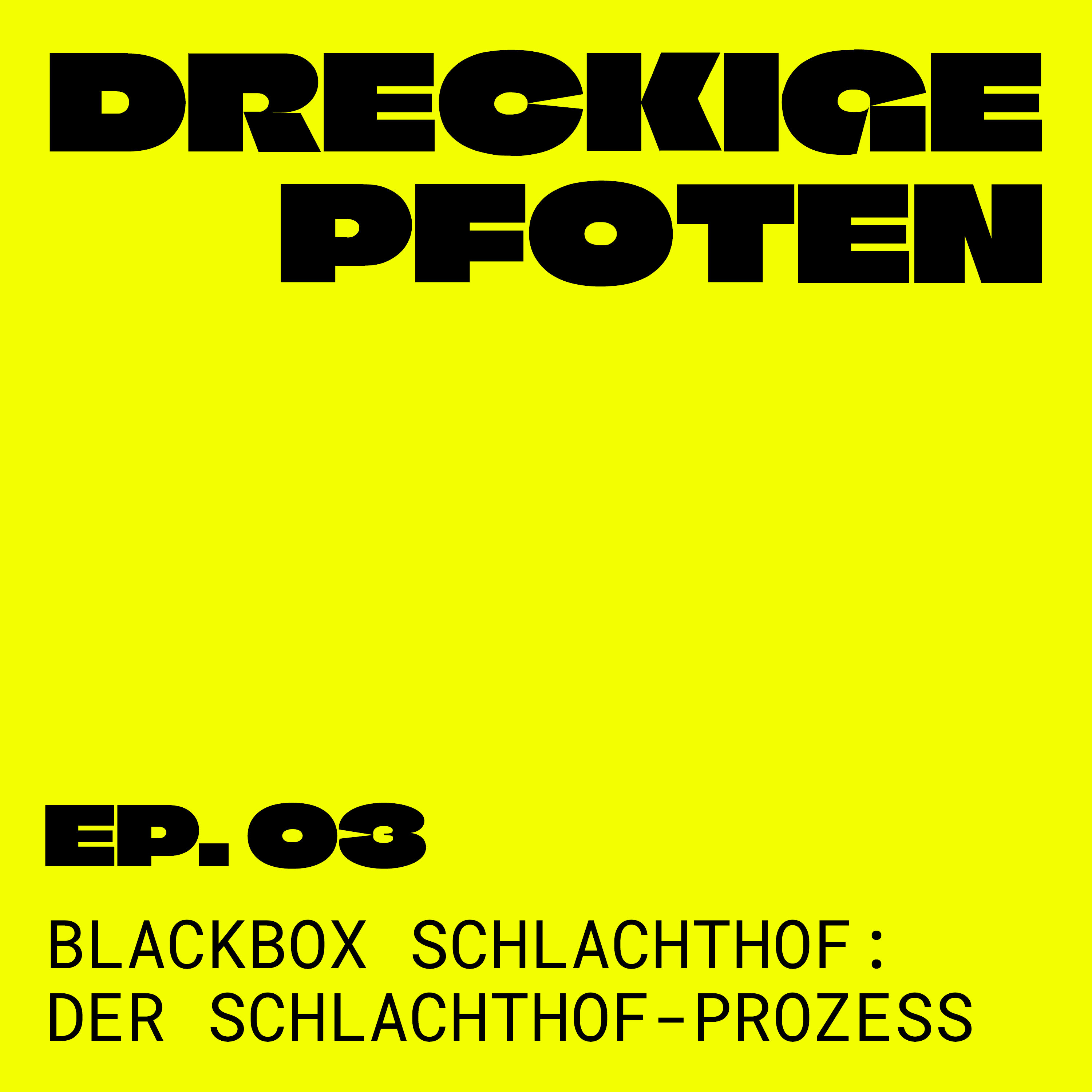 Blackbox Schlachthof 3/3