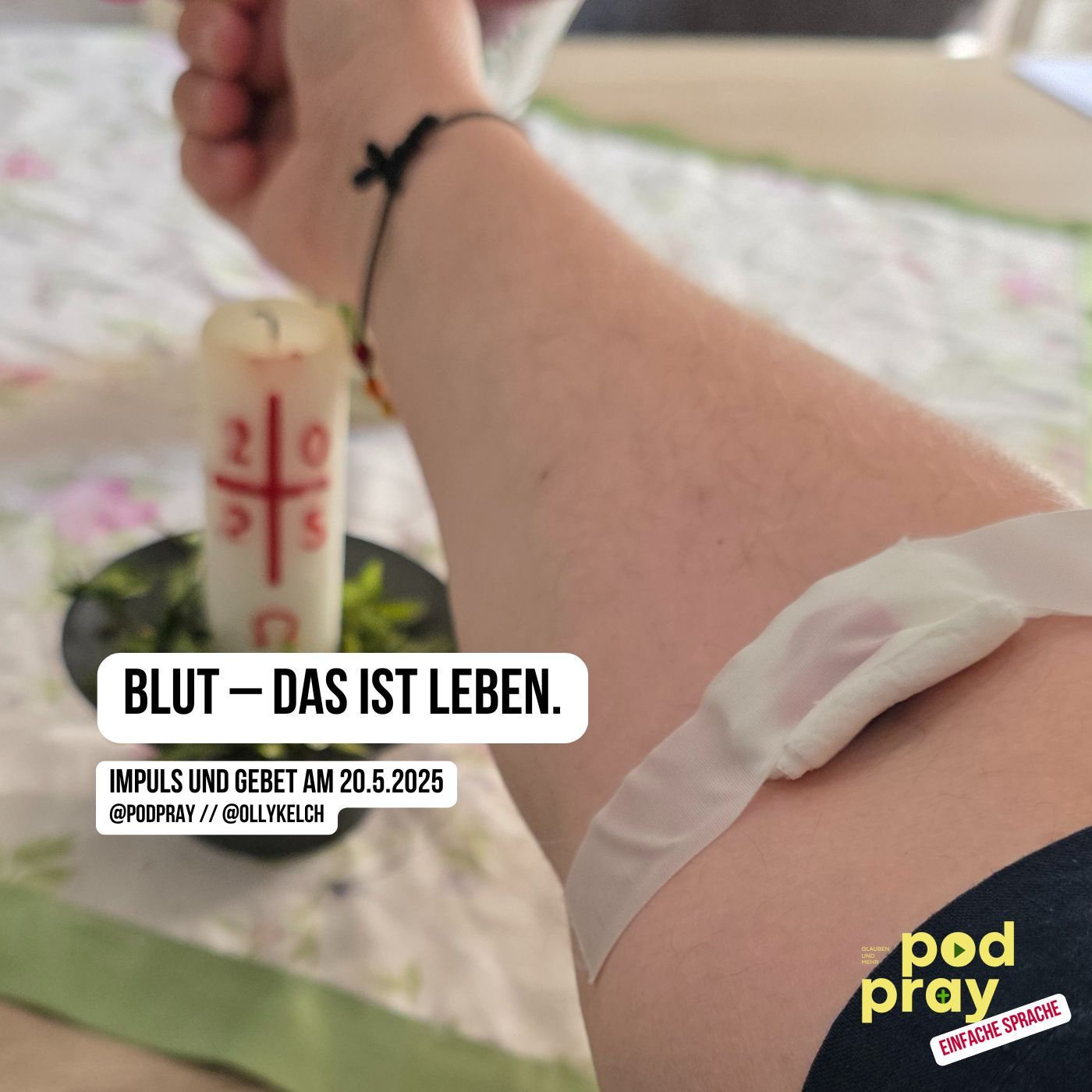 Blut – das Leben in mir. (20.5.2025)