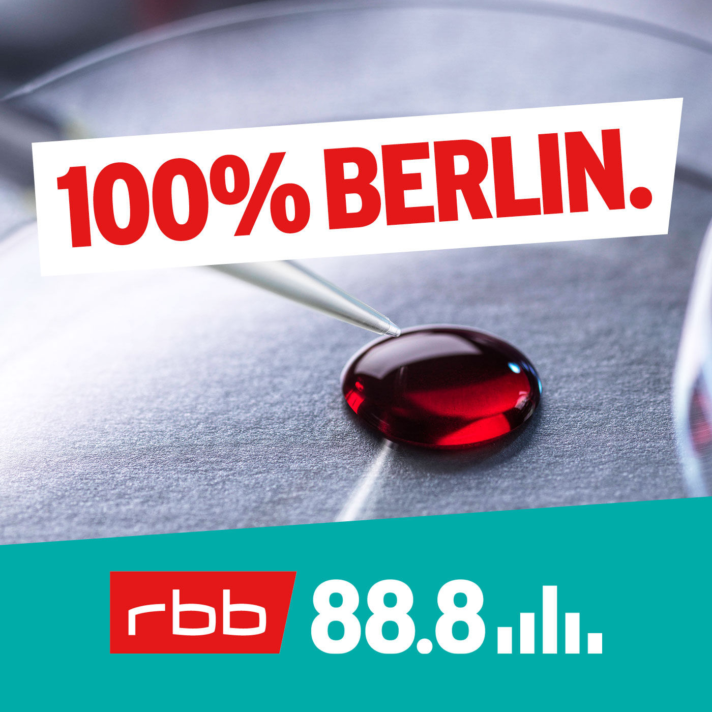 Blutiger Beweis – der Mordfall Lucie Berlin