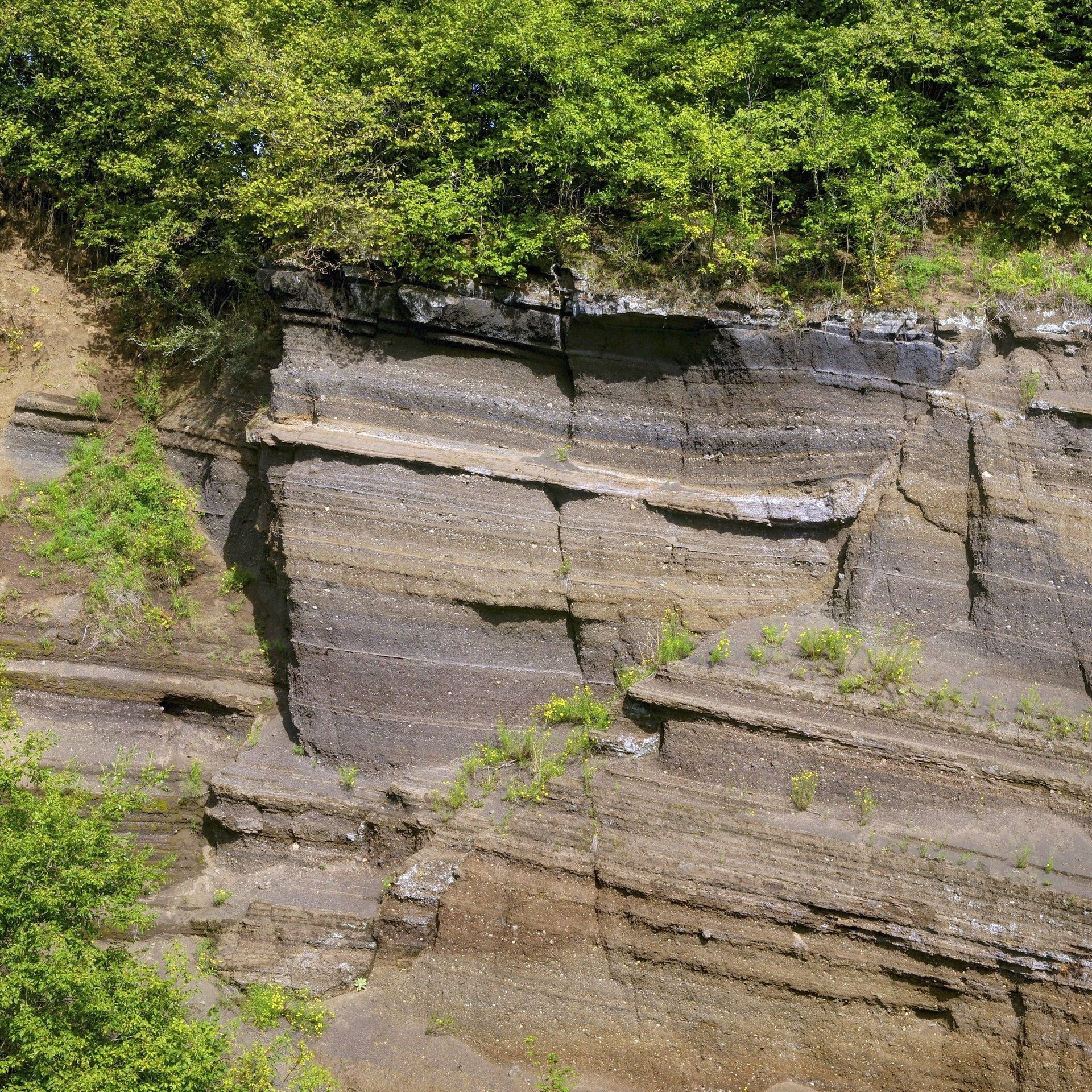 "Boden des Jahres 2026" ist der Archivboden