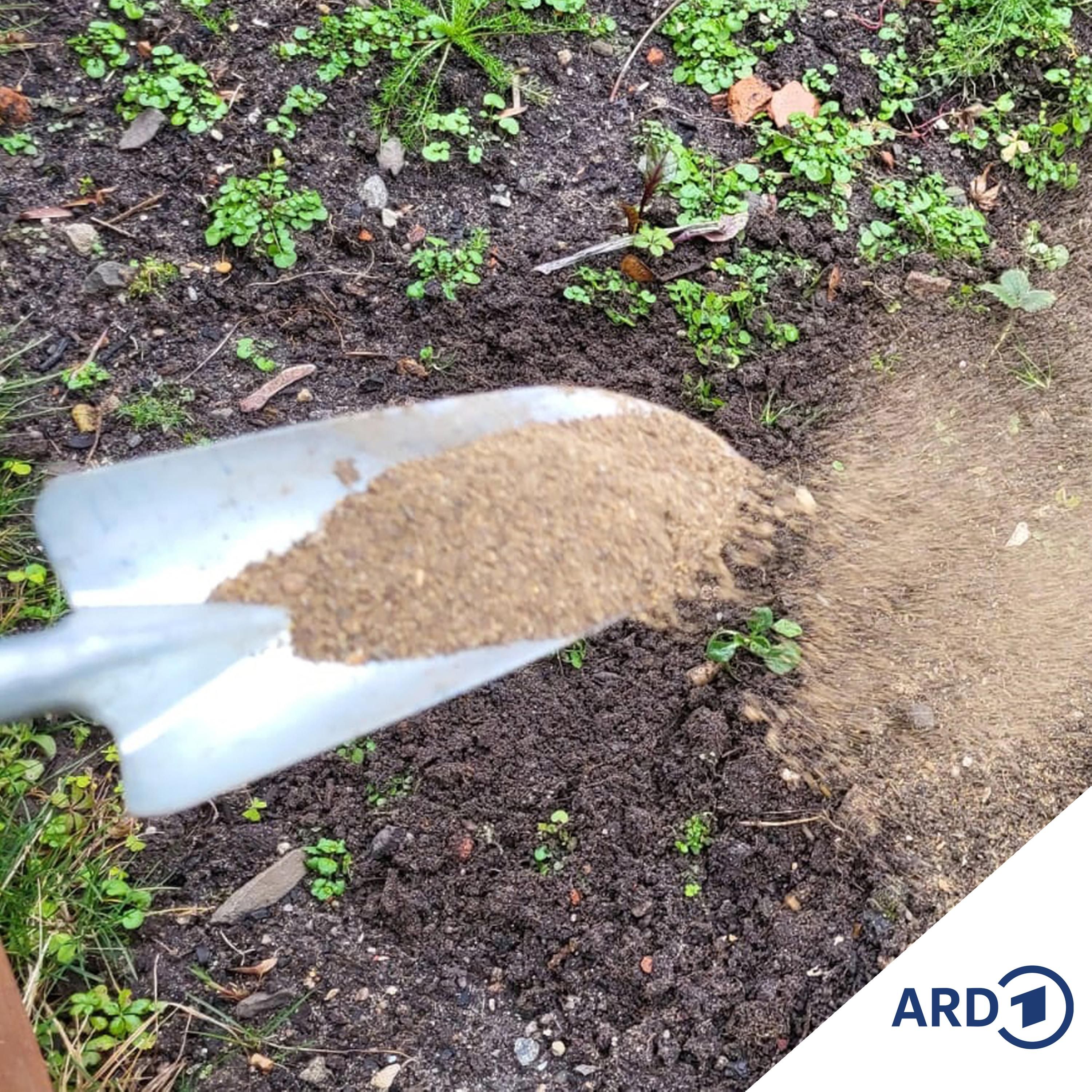 Böden vorbereiten für die neue Gartensaison