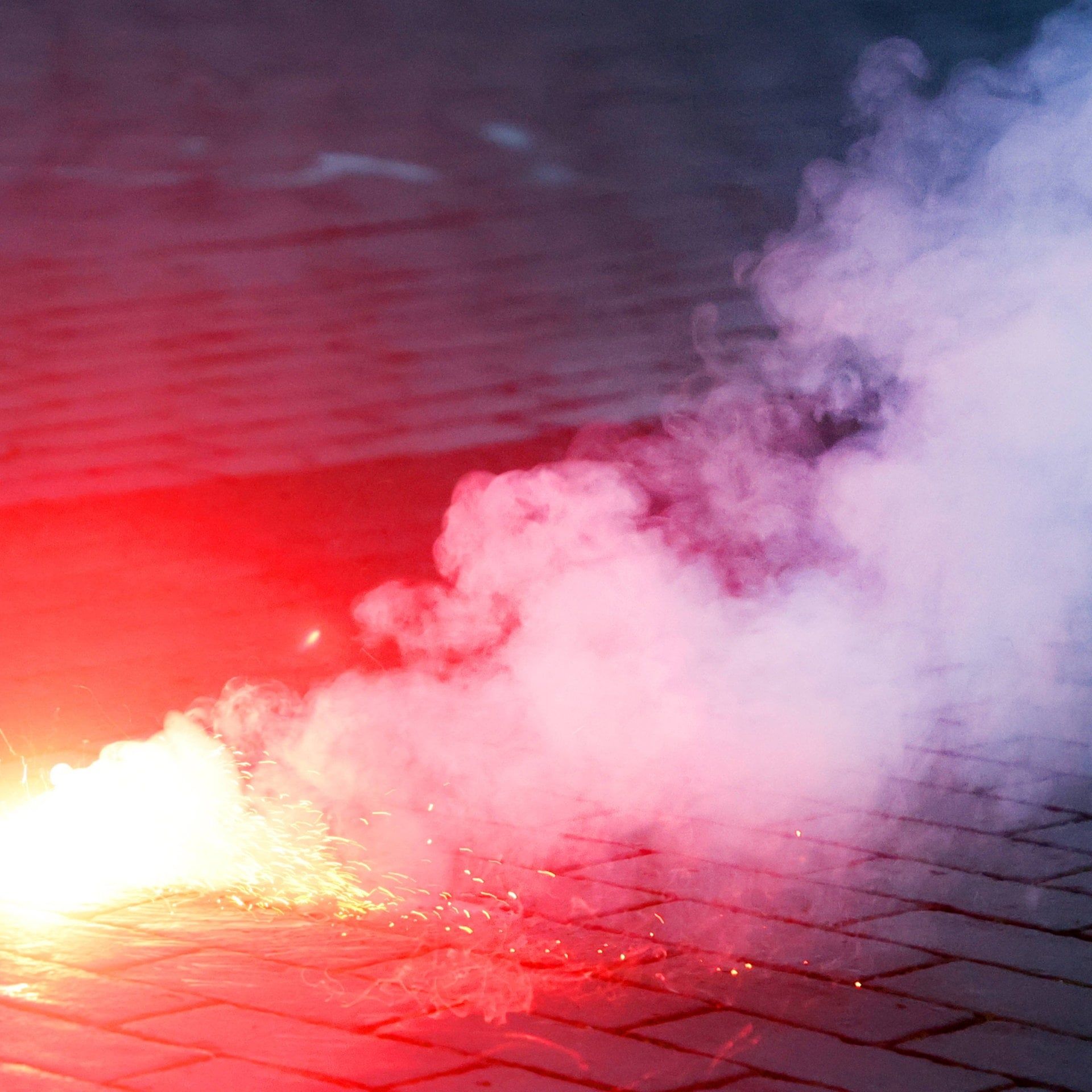 Böller, Blitze & Raketen - So erleben Wildtiere Silvester