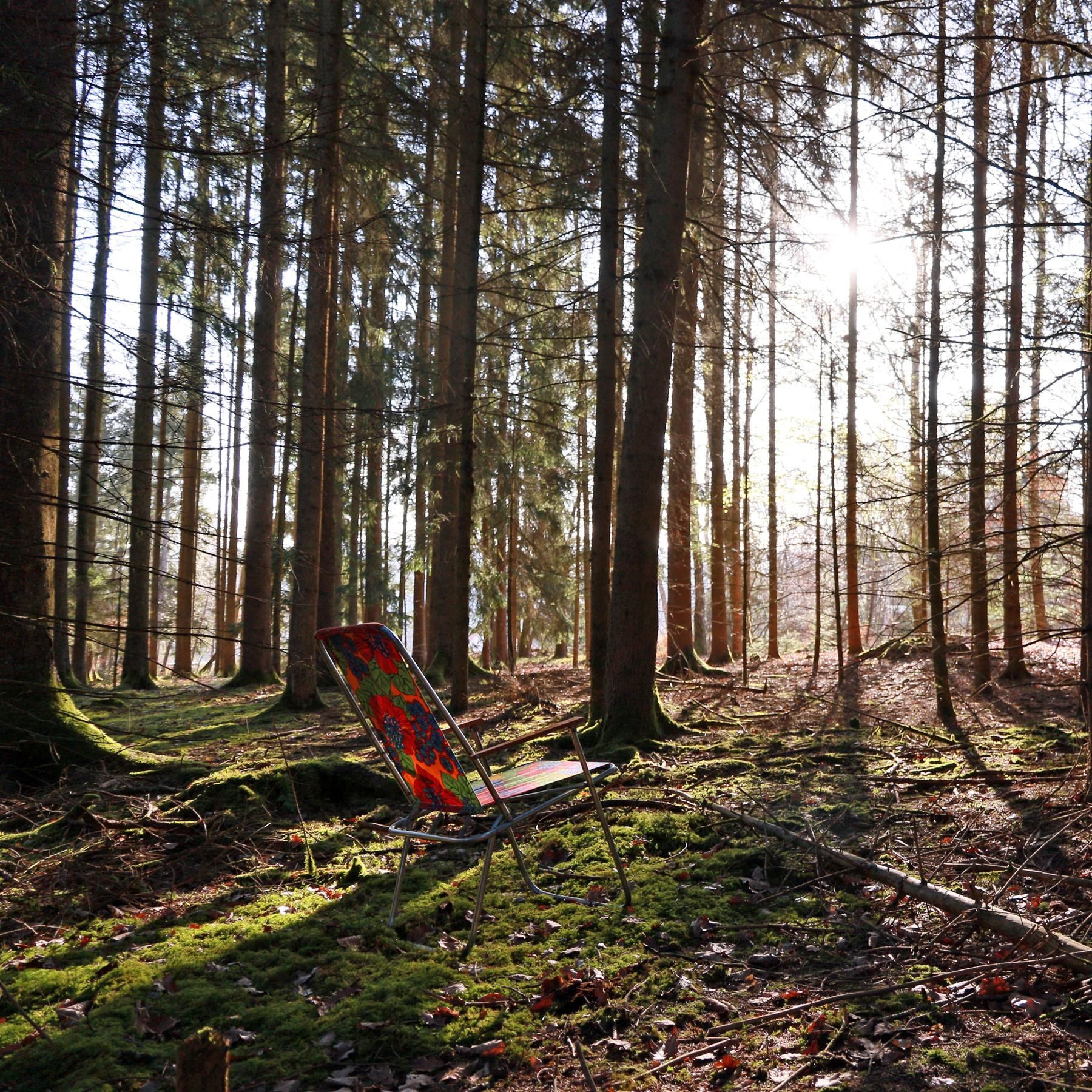 BONUSFOLGE: Frühlingserwachen mit Vogel, Fuchs & Co - Meditative Natursounds zum Entspannen