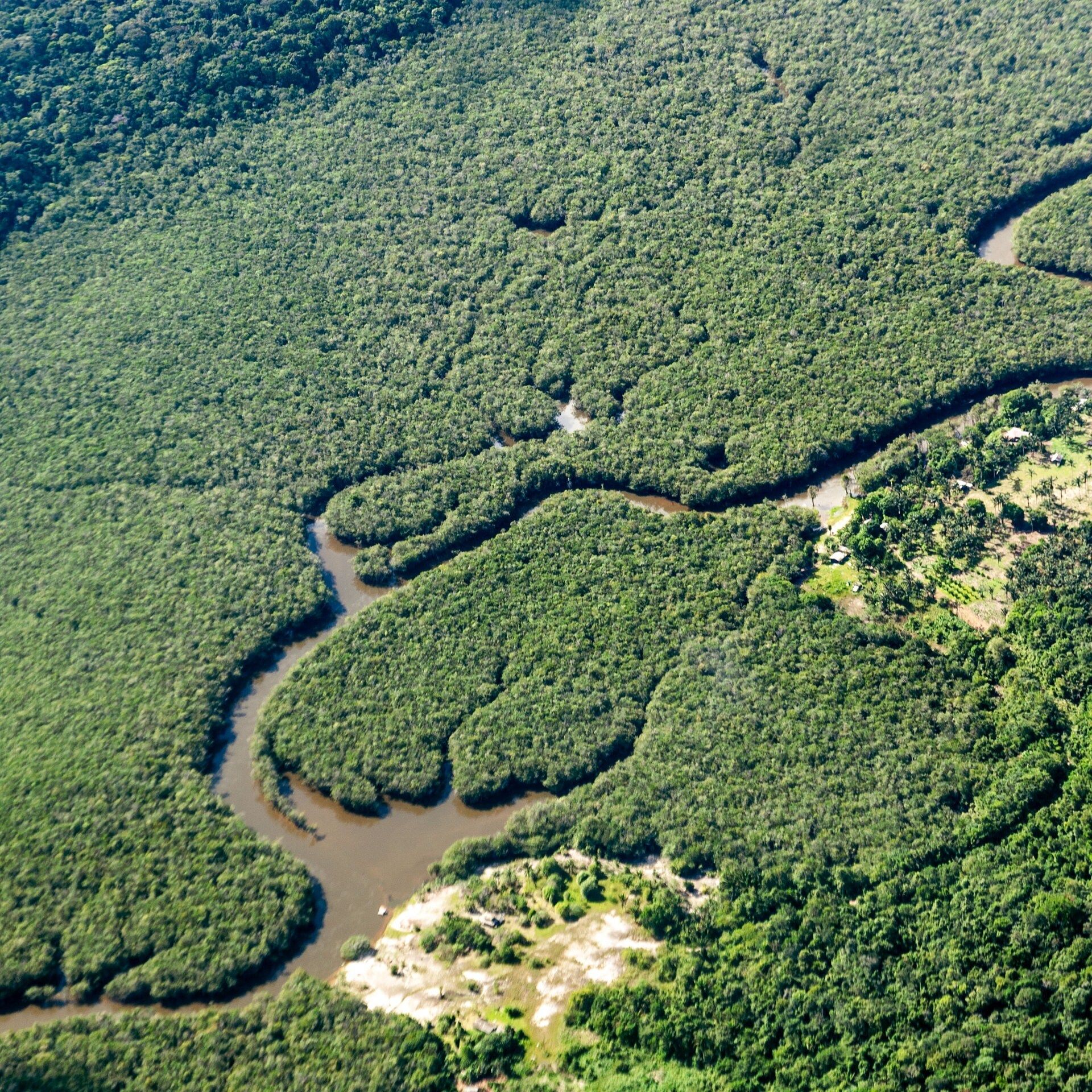 Brasilien: Milliarden für Waldrettungs-Fond