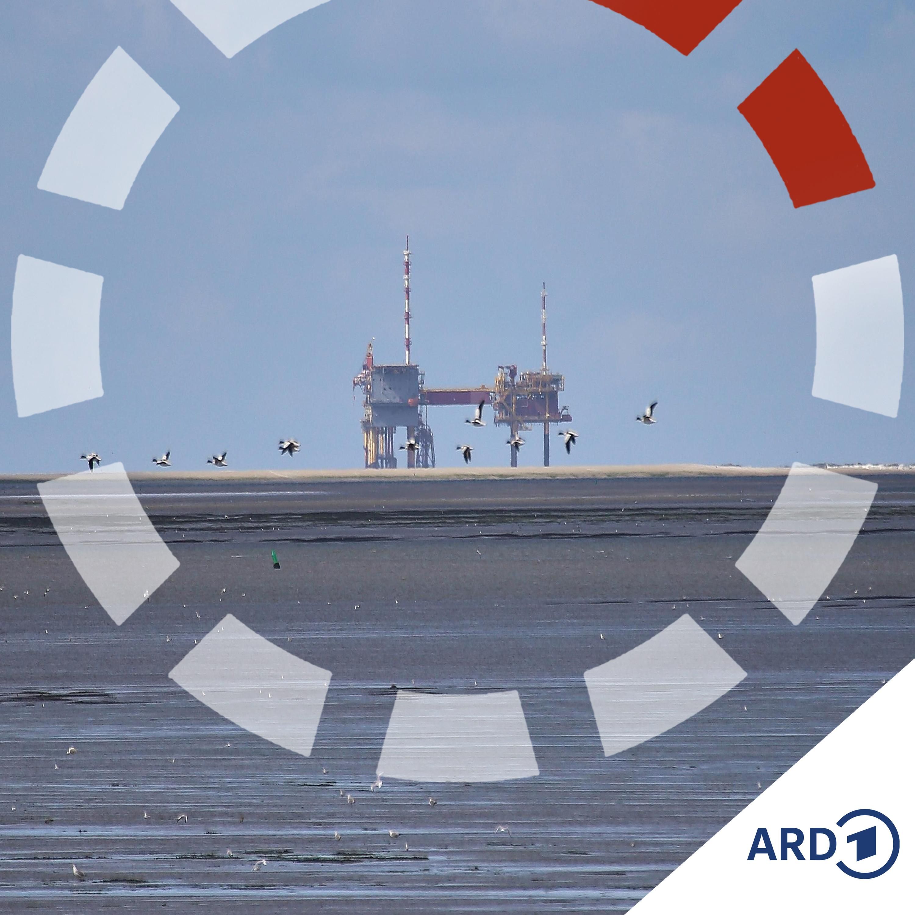 Braucht Deutschland neues Gas aus dem Wattenmeer?