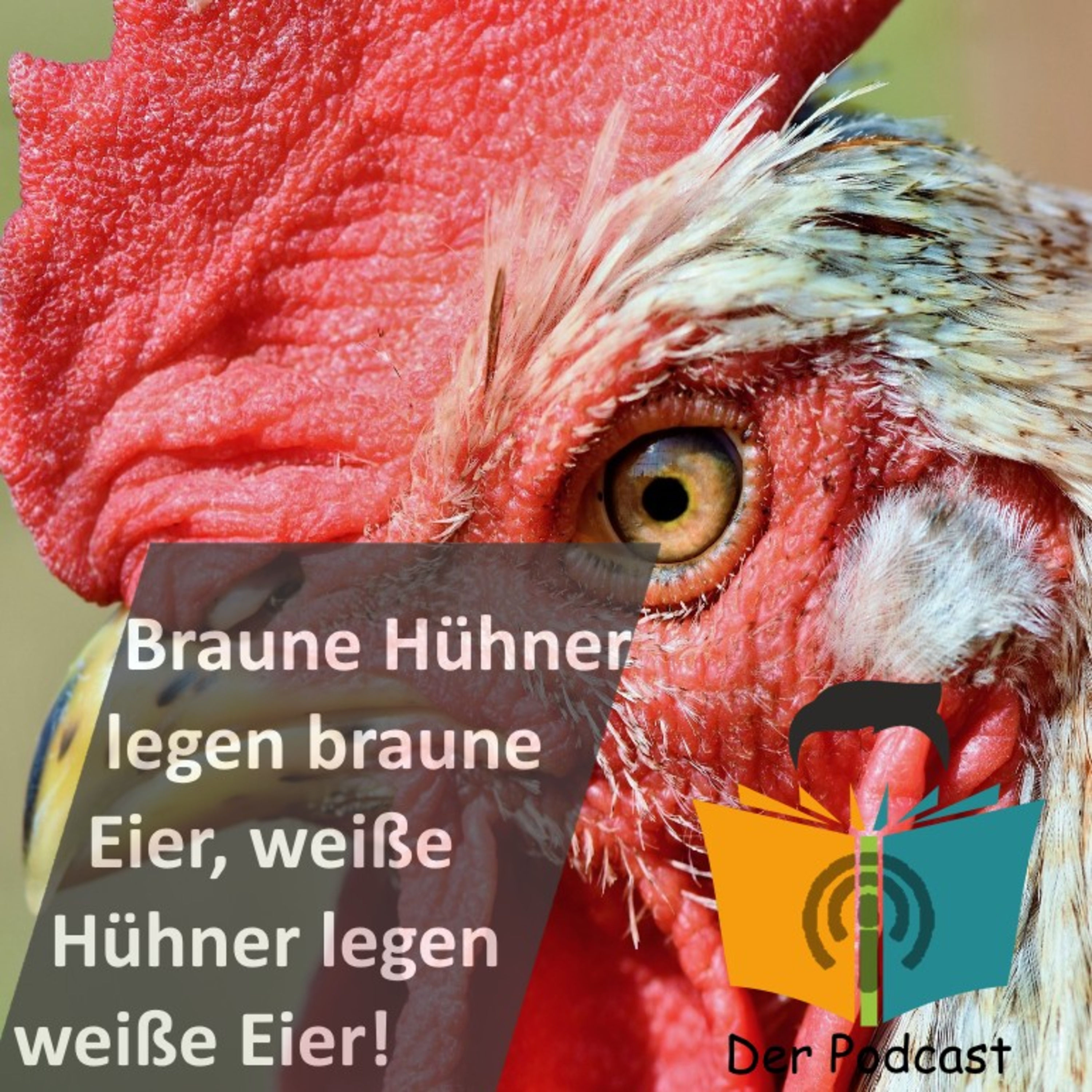 "Braune Hühner legen braune, weiße Hühner legen weiße Eier!" - IstDasFakt?!