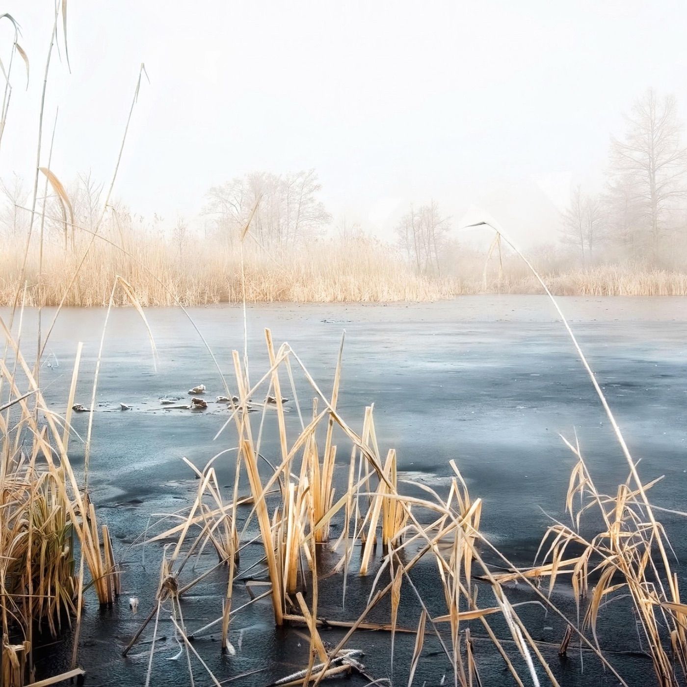 Breathwork Atemarbeit