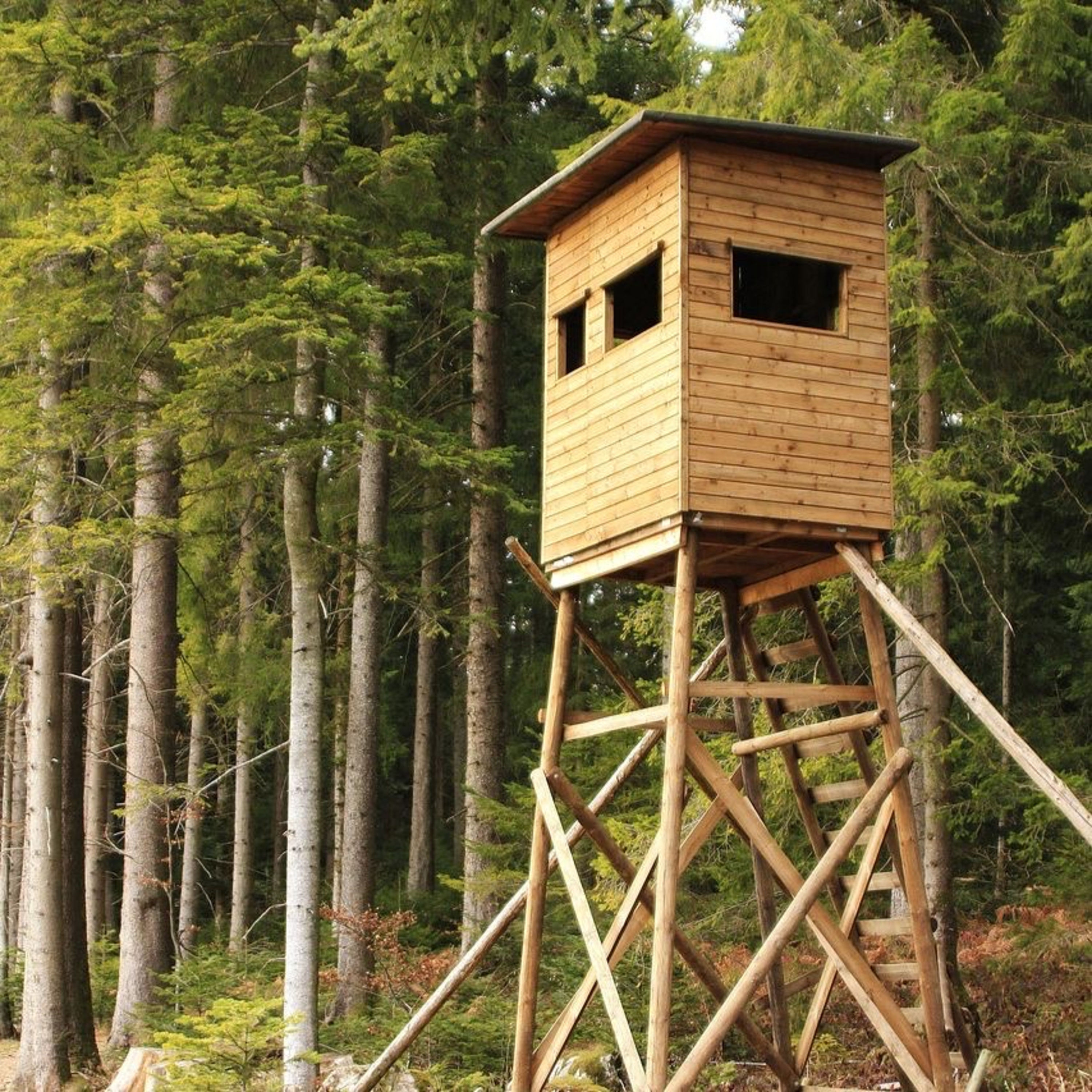 Bretter, Schrauben, Weitblick - der Hochsitz