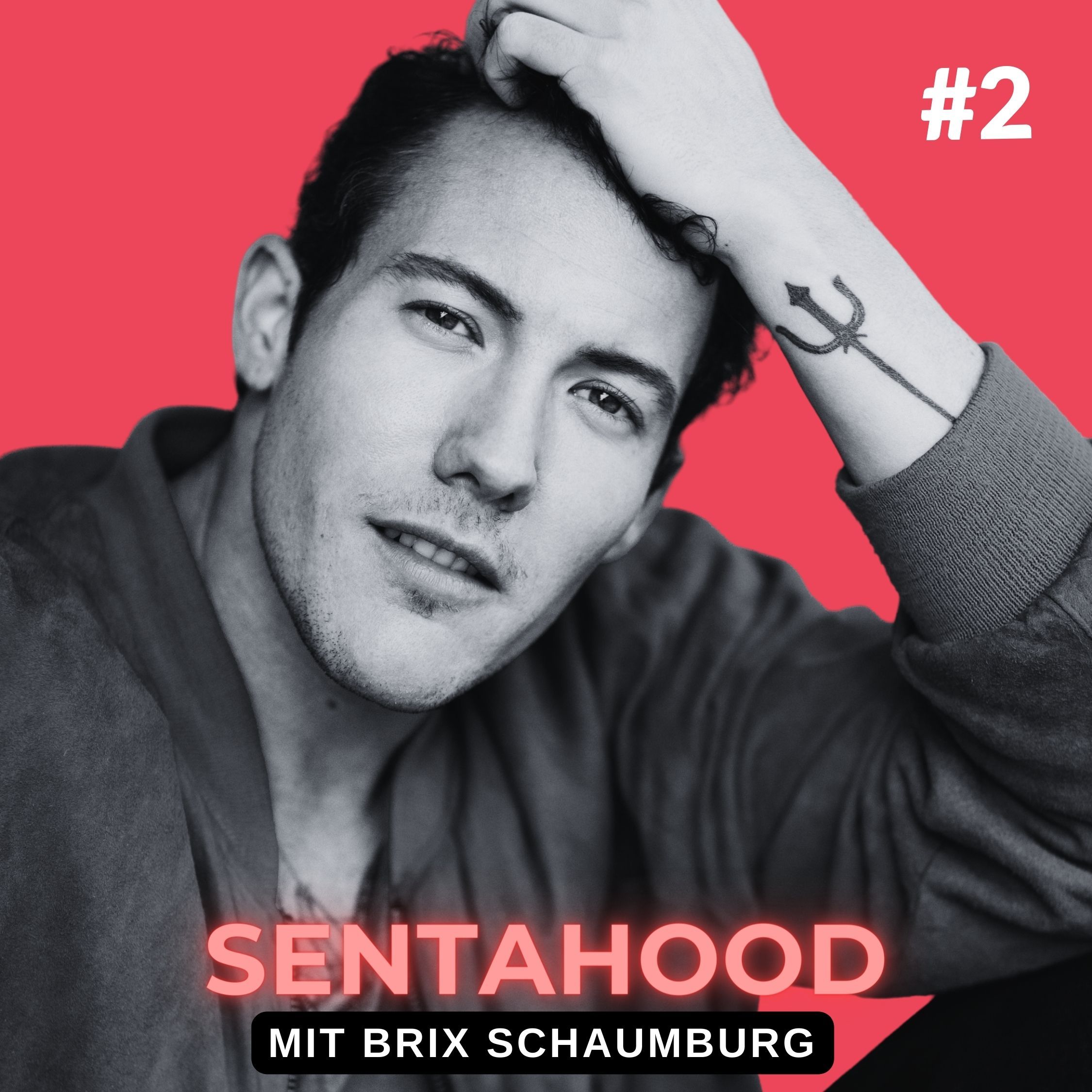 Brix Schaumburg
