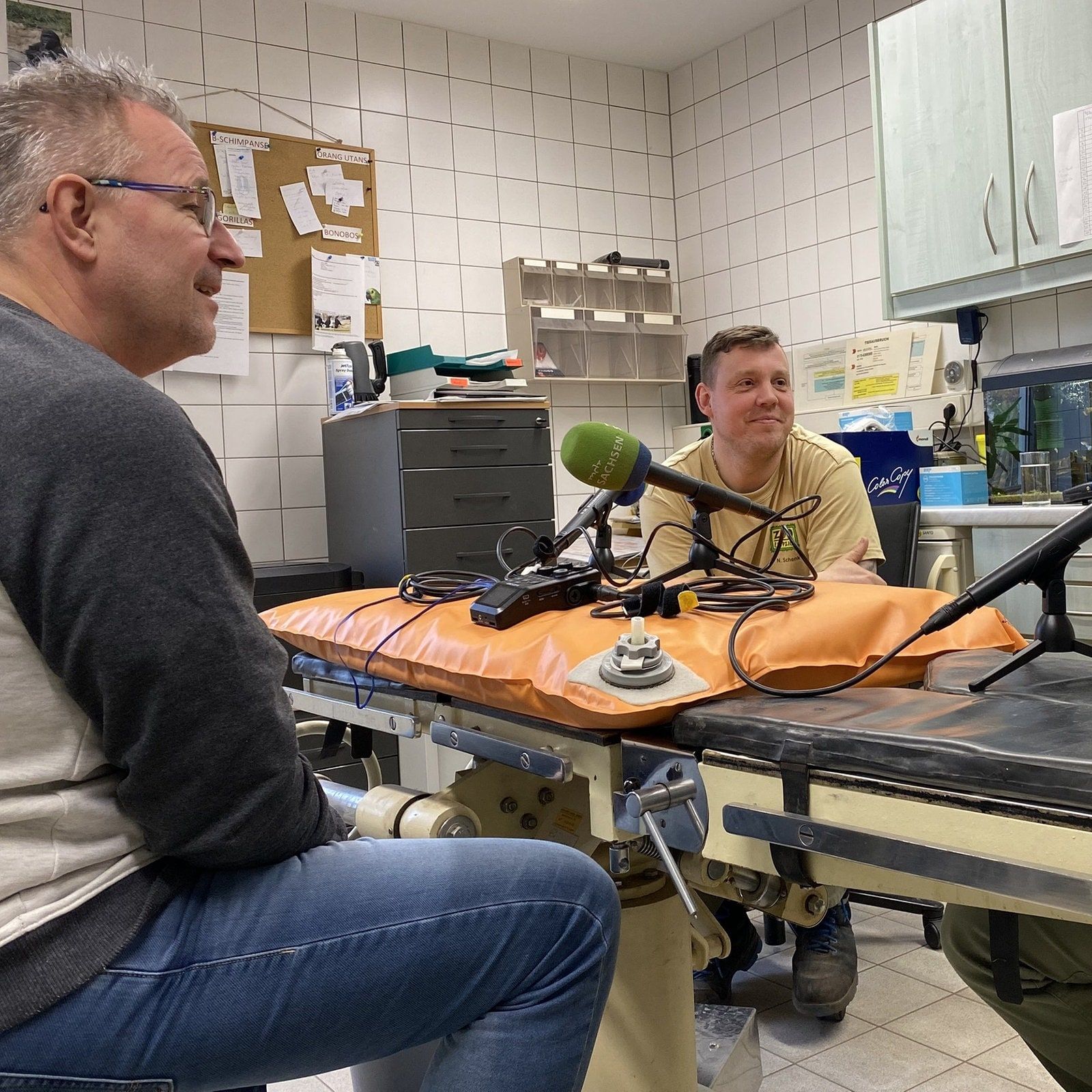 Brusttrommler und Silberrücken