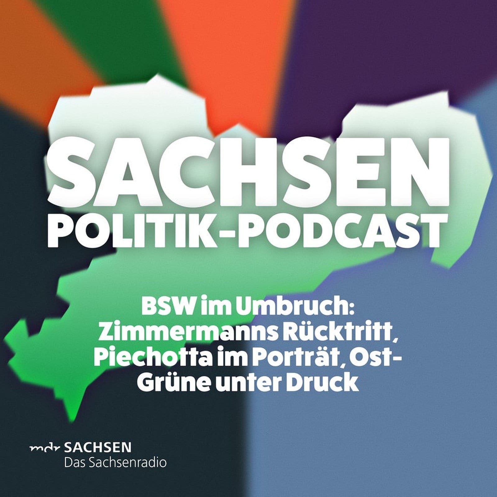 BSW im Umbruch: Zimmermanns Rücktritt, Piechotta im Porträt, Ost-Grüne unter Druck
