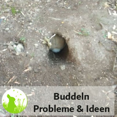 Buddelweltmeister Kaninchen - rund ums Buddeln
