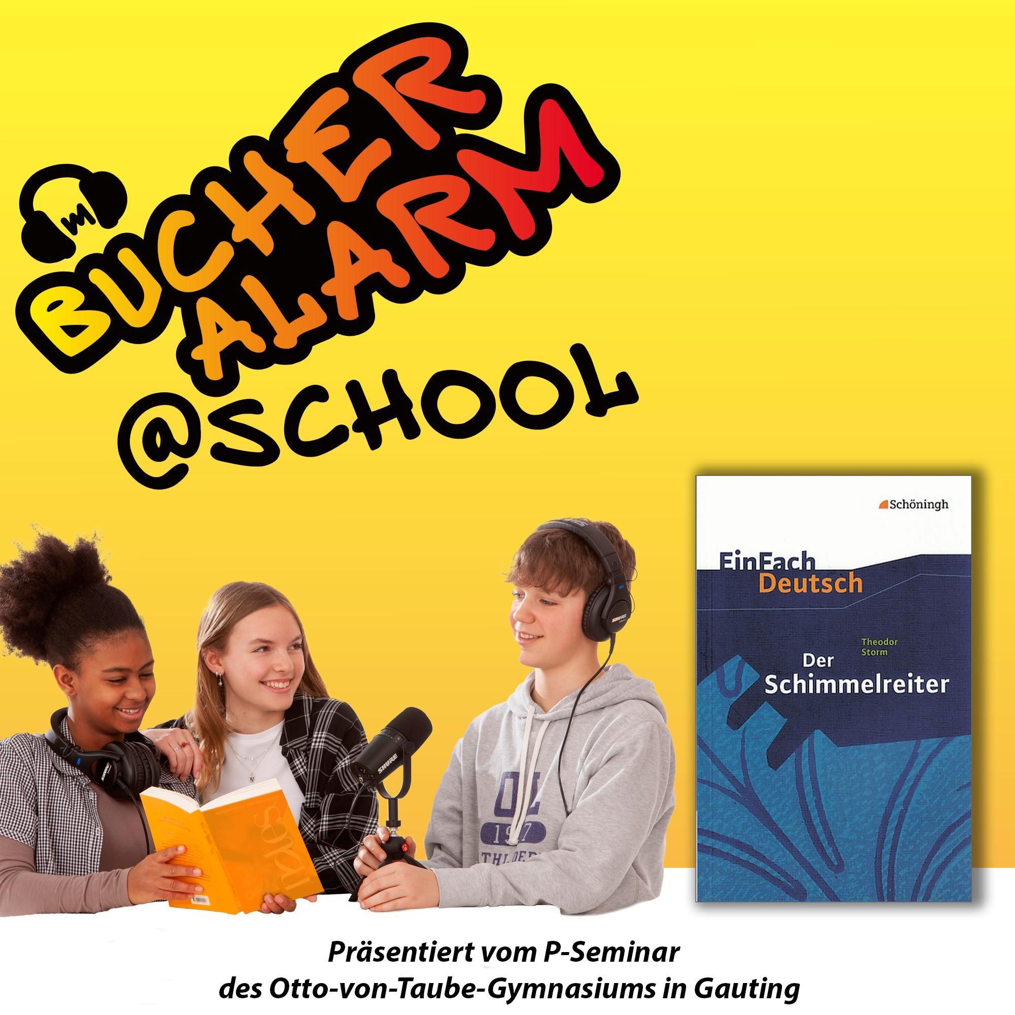 💥BÜCHERALARM@school💥 "Der Schimmelreiter" von Theodor Storm | Erschienen bei Westermann / Schoeningh