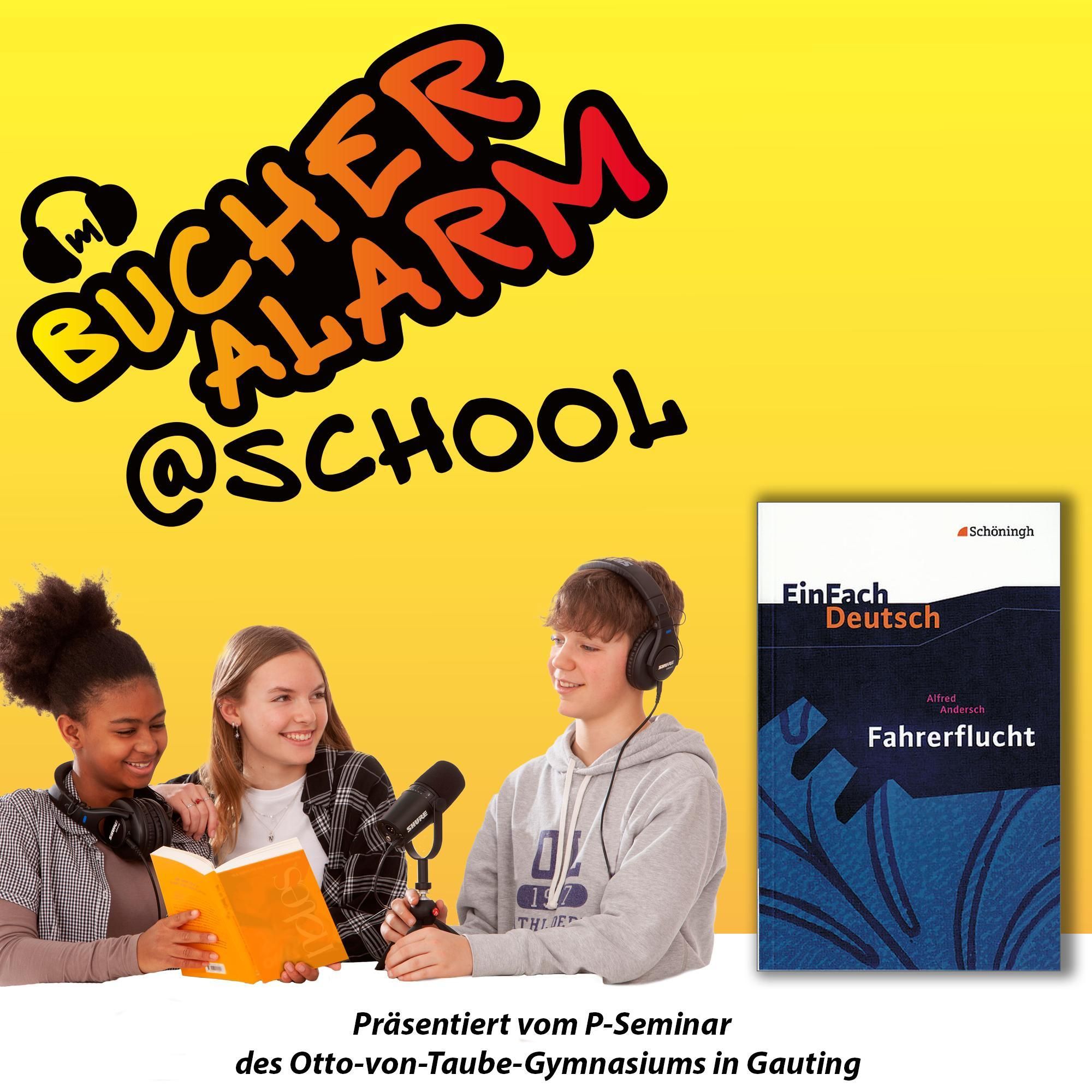 💥BÜCHERALARM@school💥 "Fahrerflucht" von Alfred Andersch | Erschienen bei Westermann / Schoeningh
