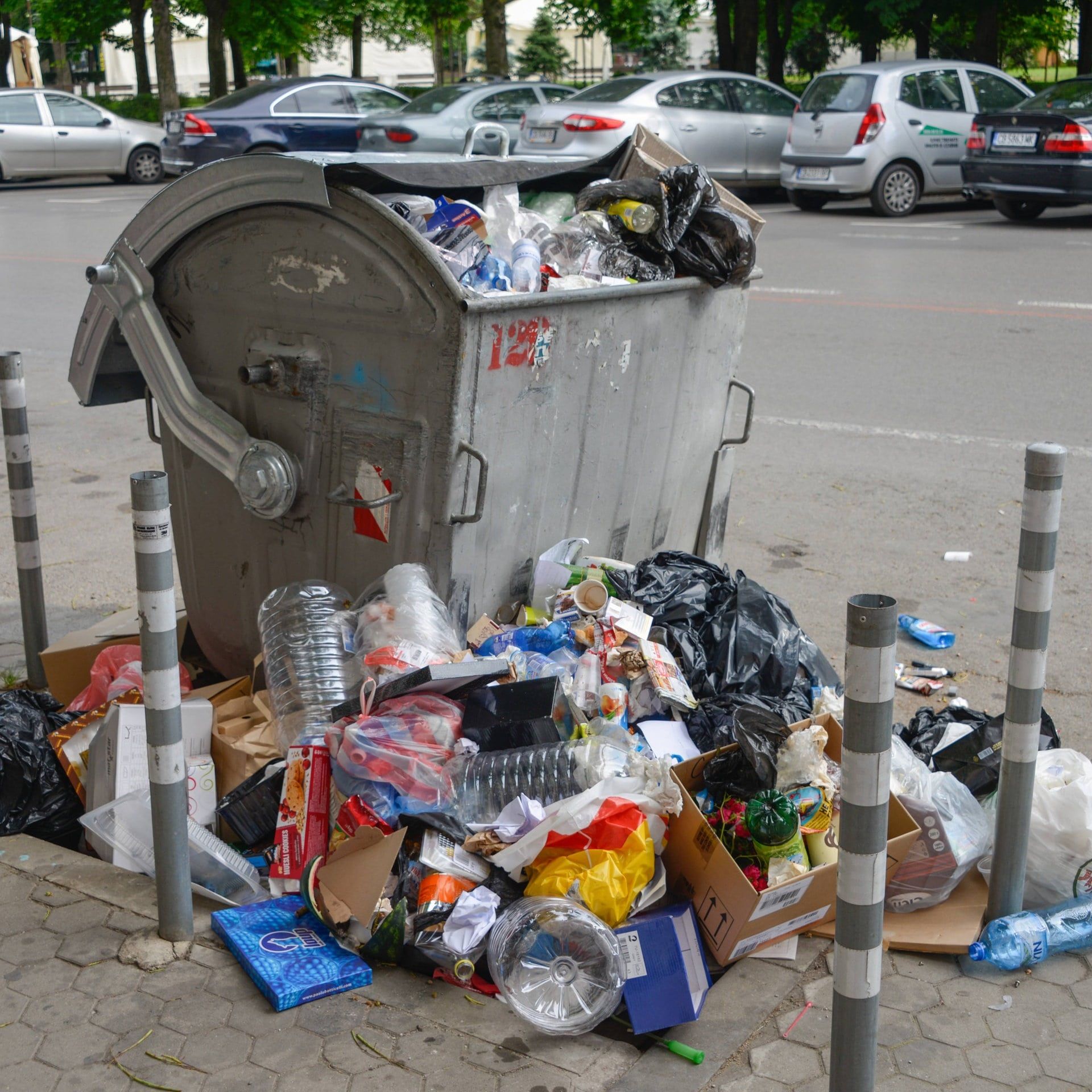 Bulgarien: Sofia kämpft gegen die Müllmafia