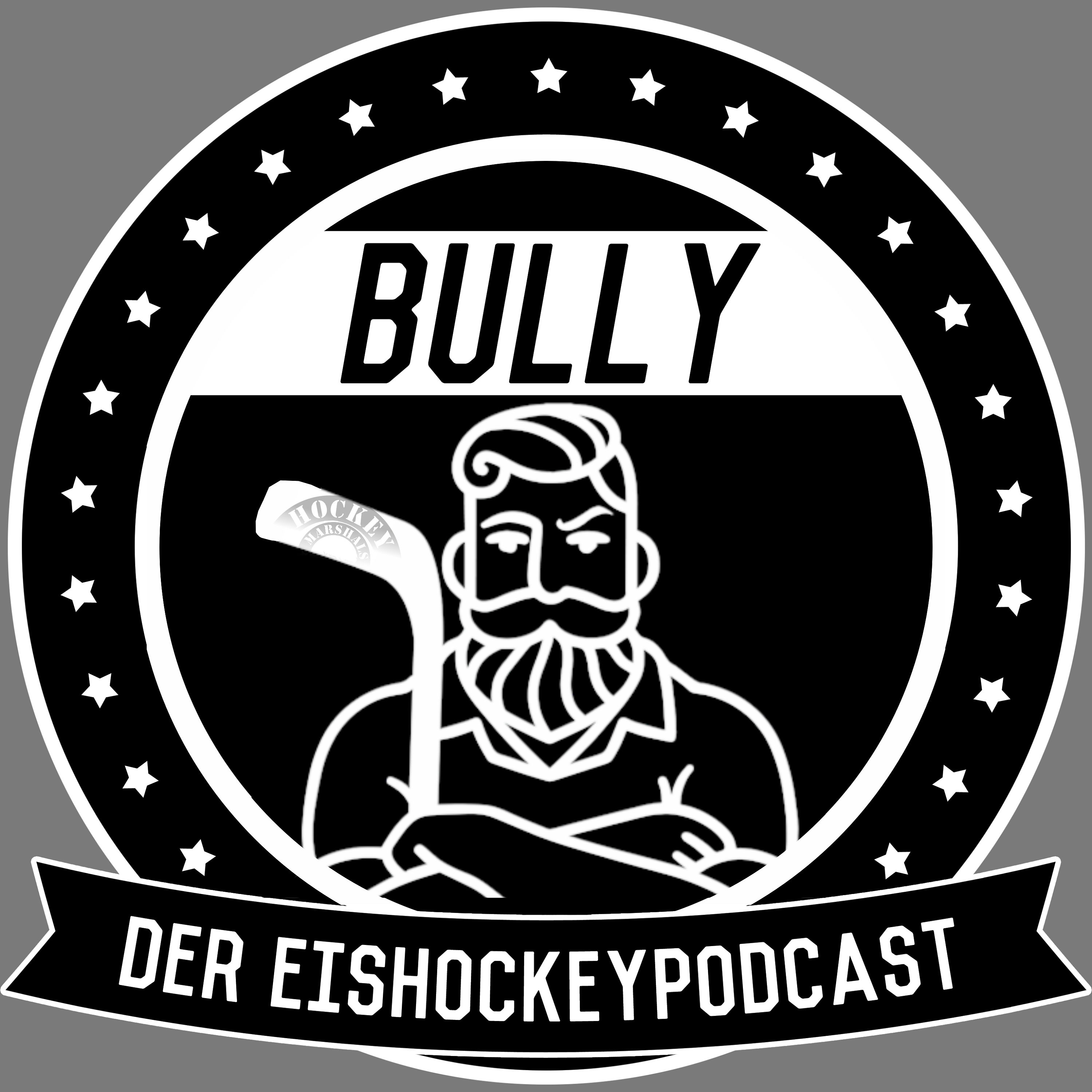 Bully #350 NHL Januar 2026 mit den Hockey Marshals