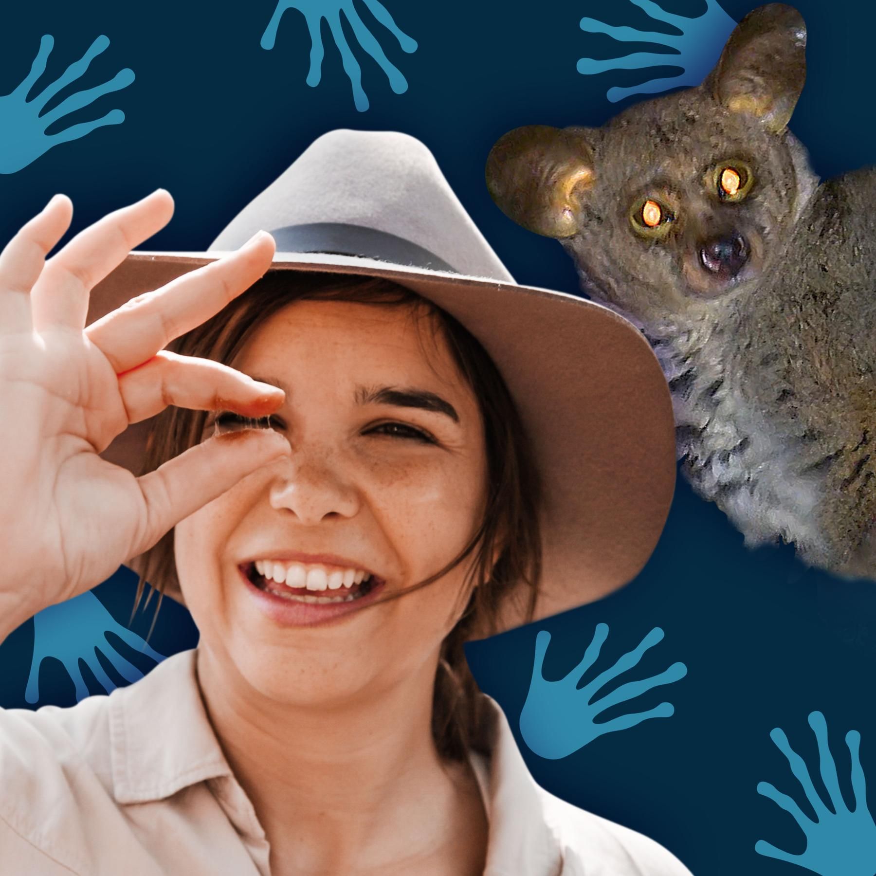 Buschbabys: Große Augen, kuschliges Fell | Galagos in Südafrika