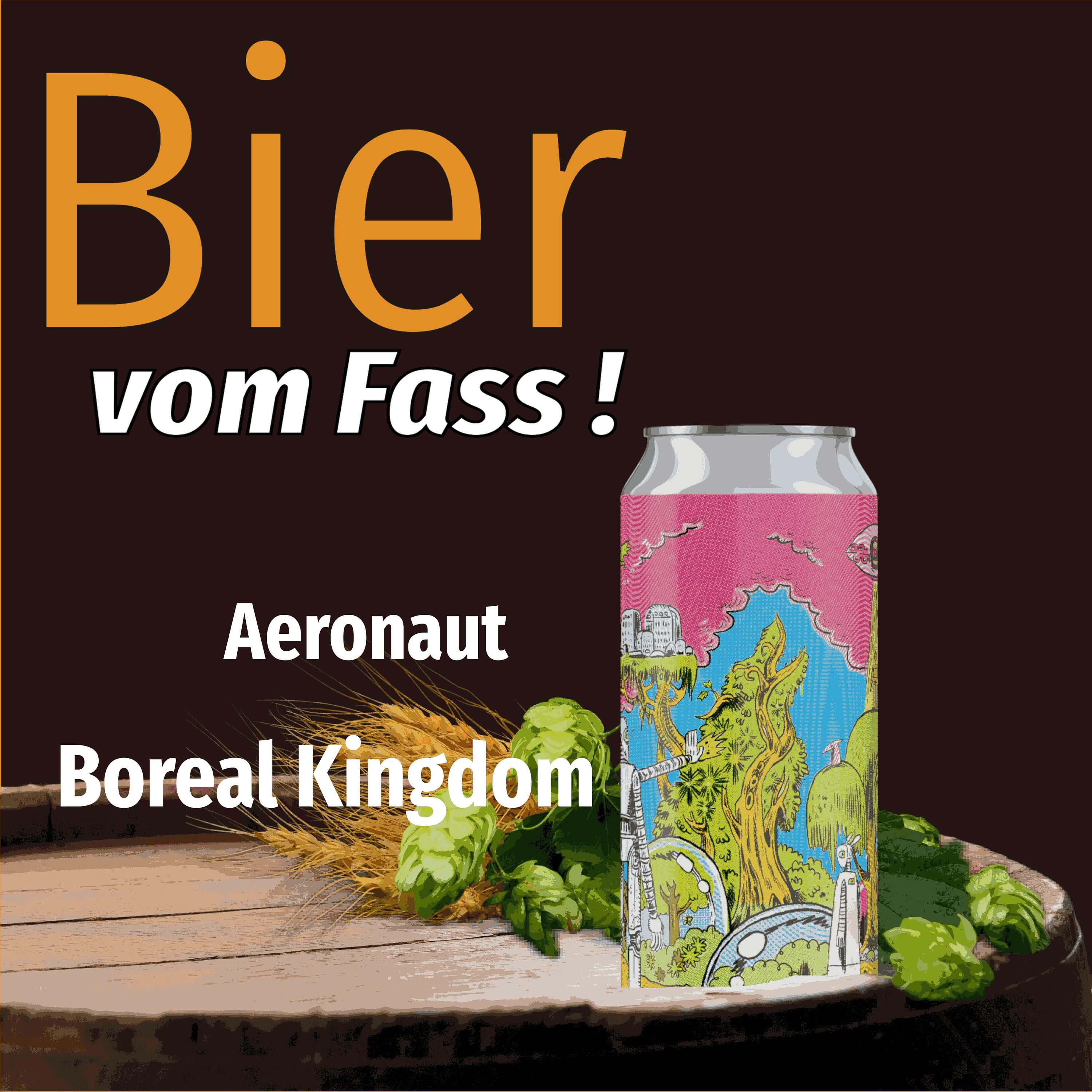 BvF110 Aeronaut - Boreal Kingdom