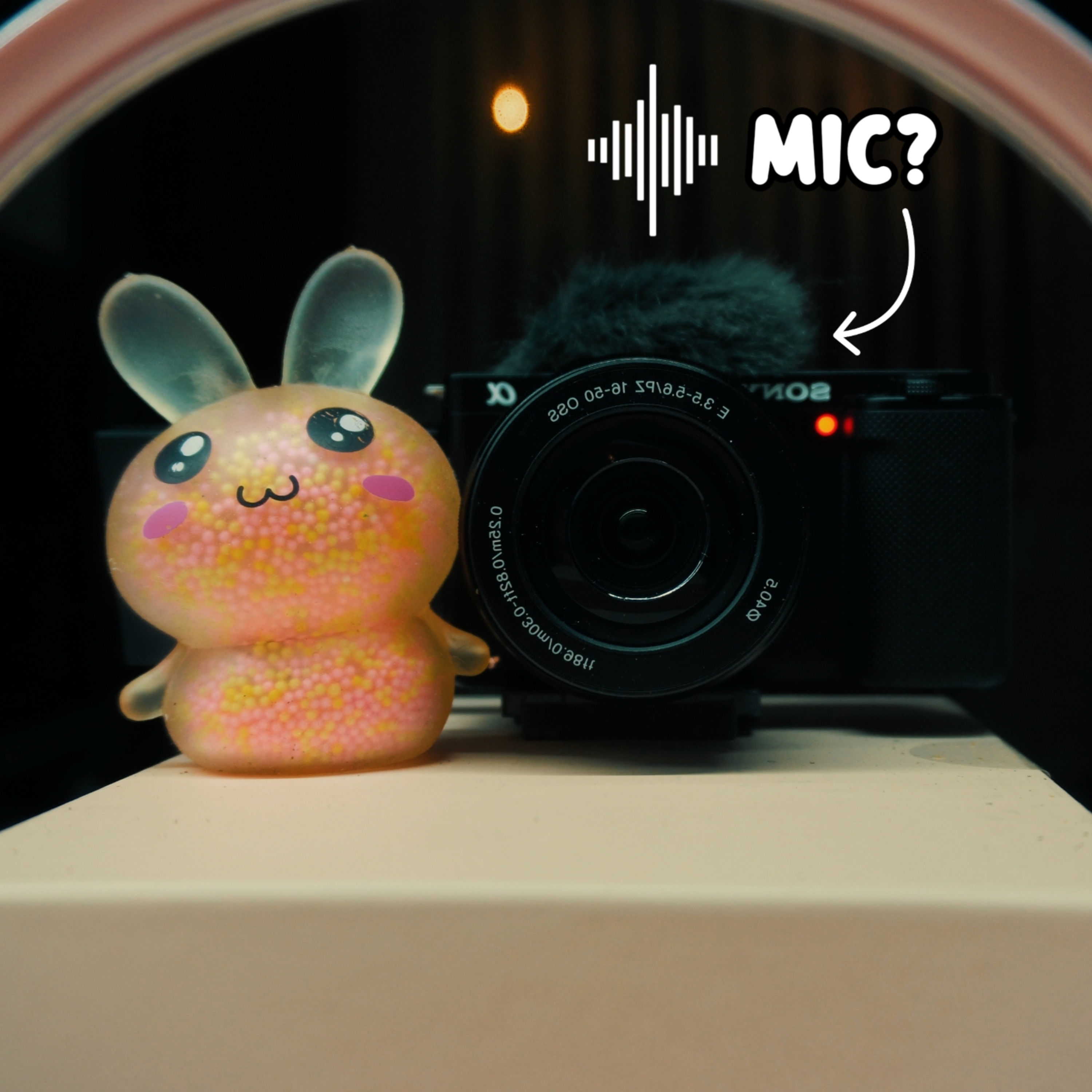 Can the Sony ZV-E10 Do ASMR?