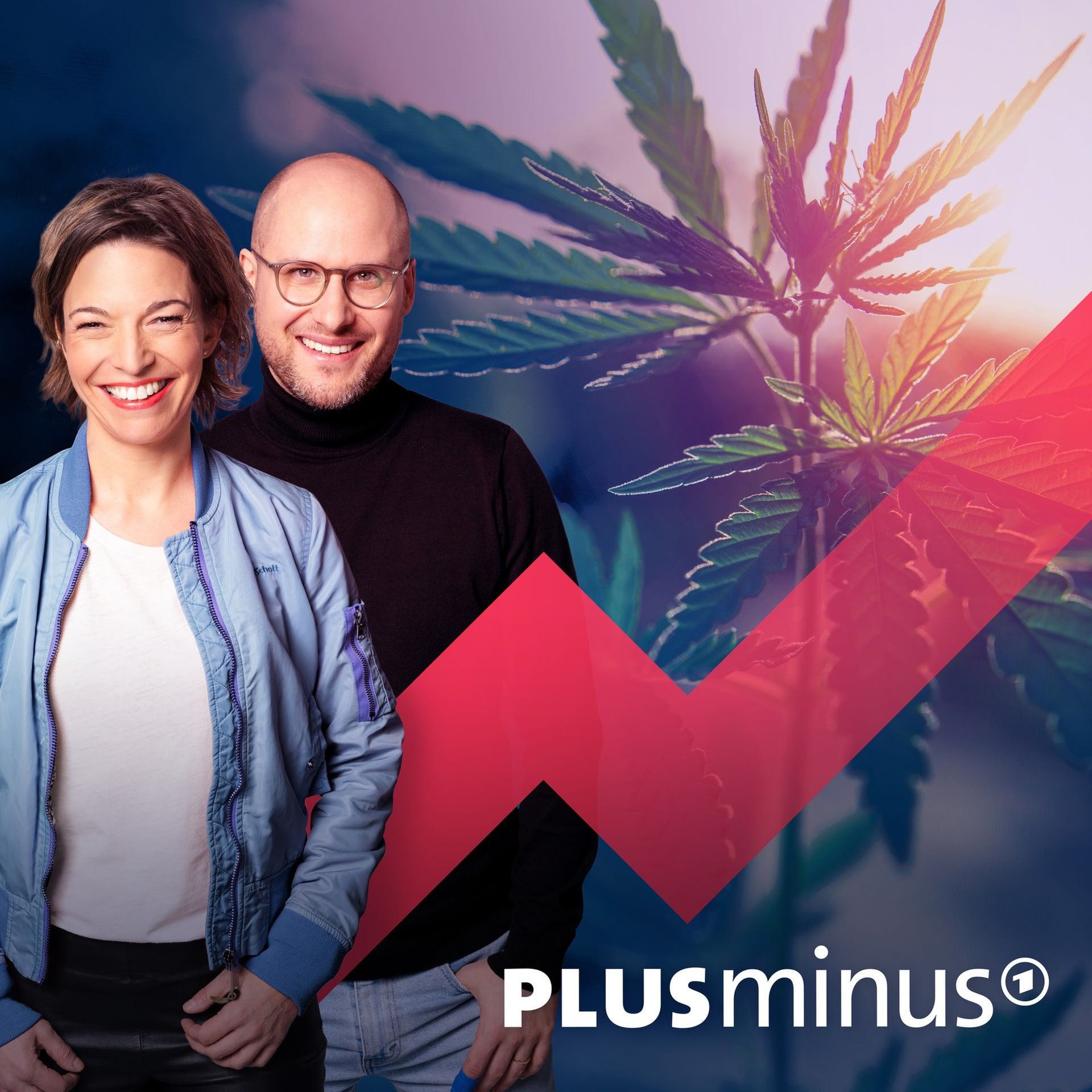 Cannabis-Legalisierung: gefährlich und teuer für uns alle?
