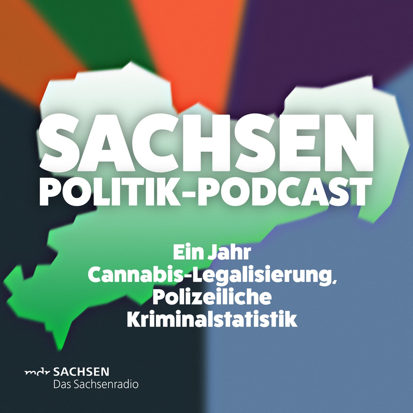 Cannabis-Legalisierung, Kritik an Kriminalstatistik, rasender Kultusminister