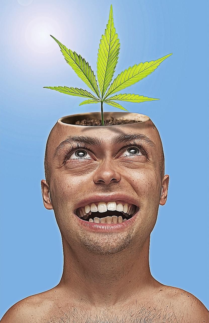 Cannabis wird teillegalisiert - Gesetz gegen wissenschaftliche Fakten