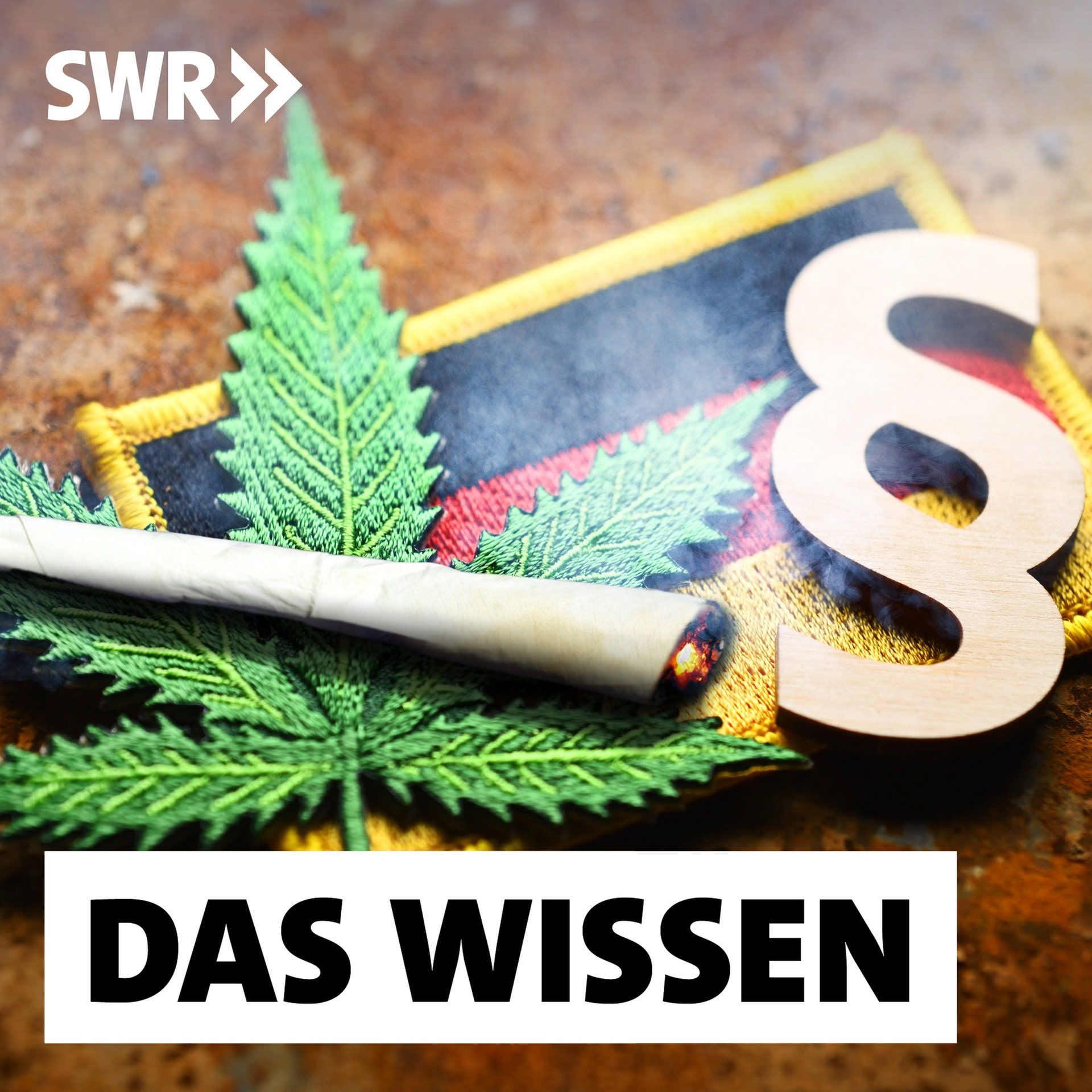Cannabisgesetz auf dem Prüfstand – Welche Folgen hat die Teillegalisierung?