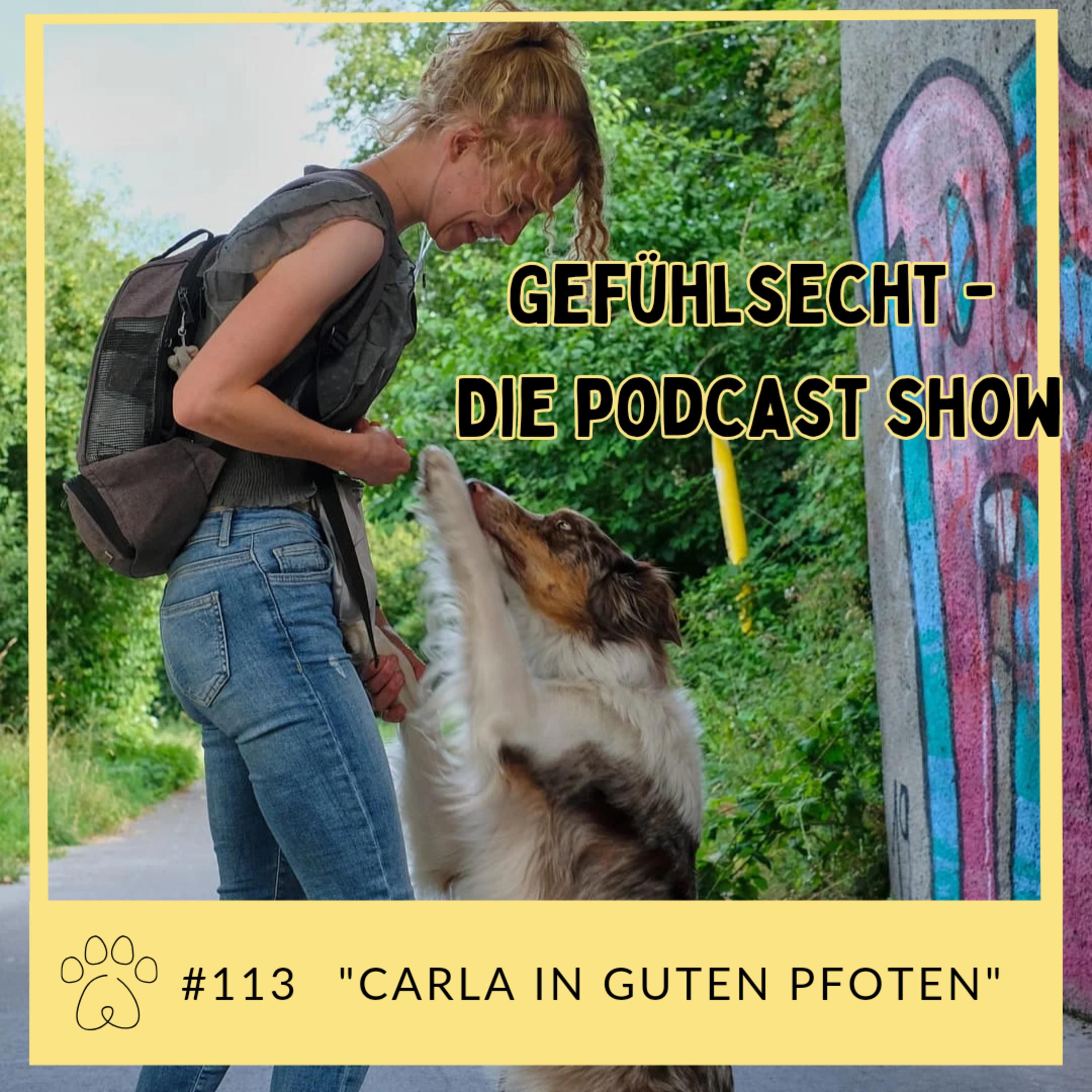 Carla in guten Pfoten: mit Assistenz Hund Jack - Episode 113