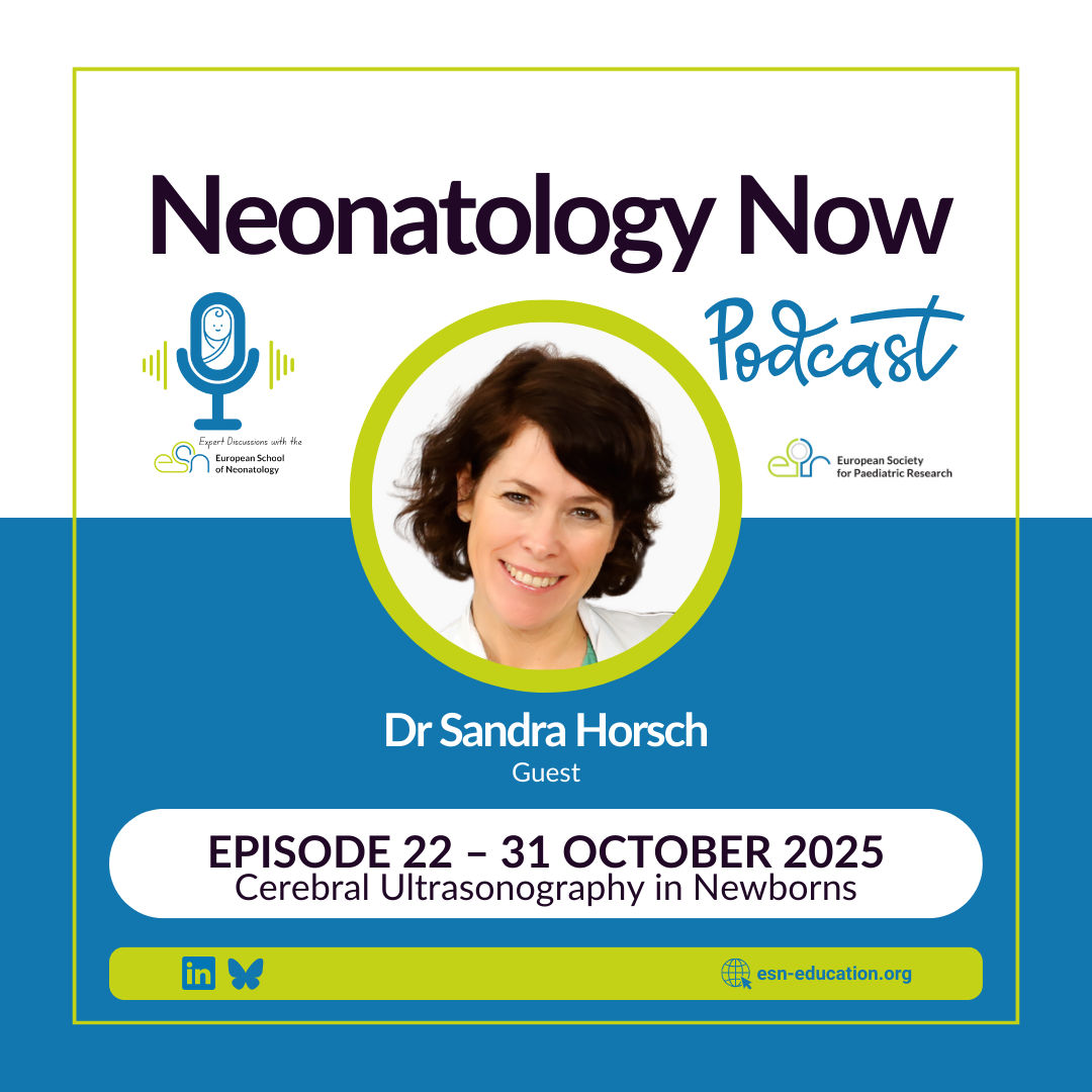 Cerebral ultrasonography in newborns with Dr Sandra Horsch
