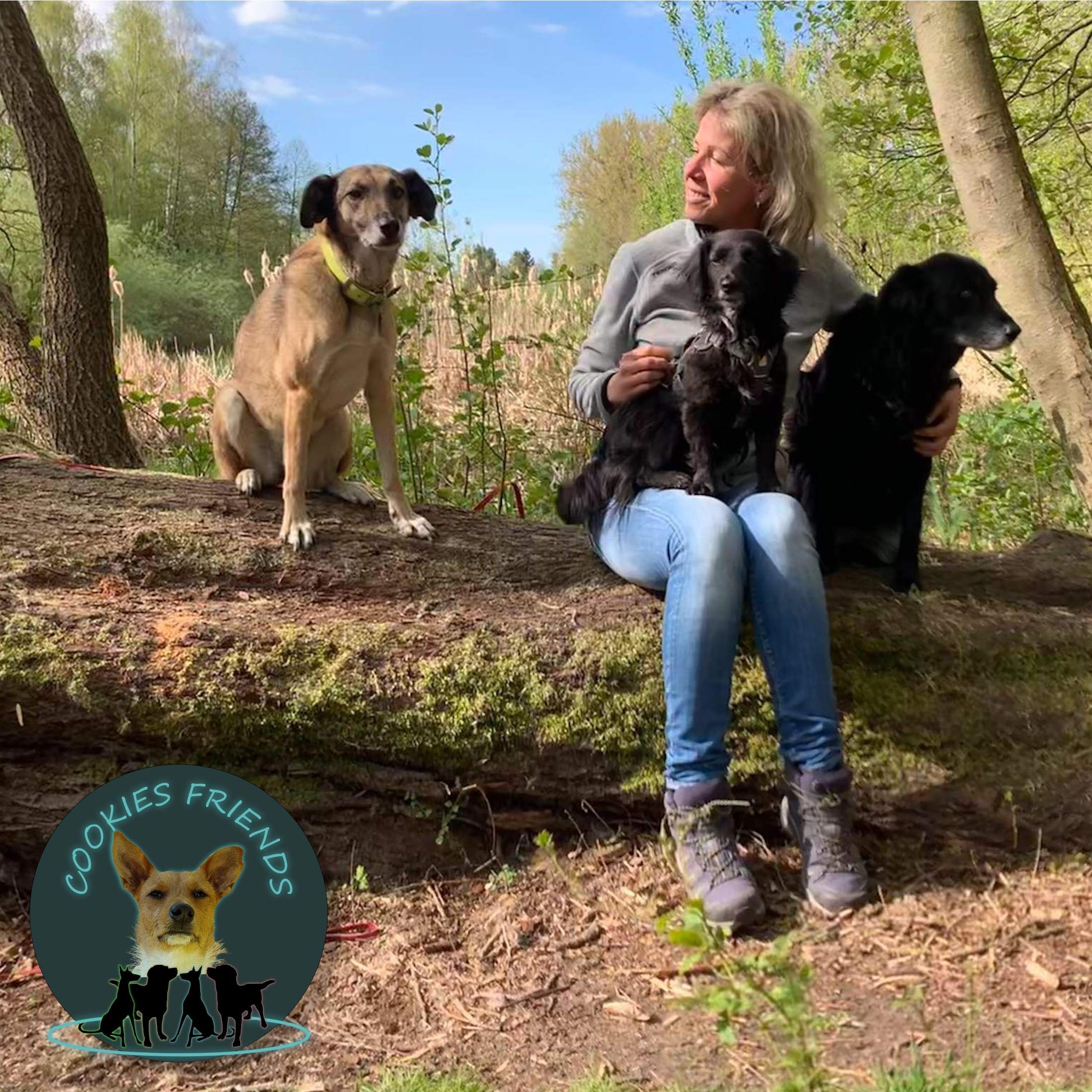 CF 12 - Stephanie Kreutz