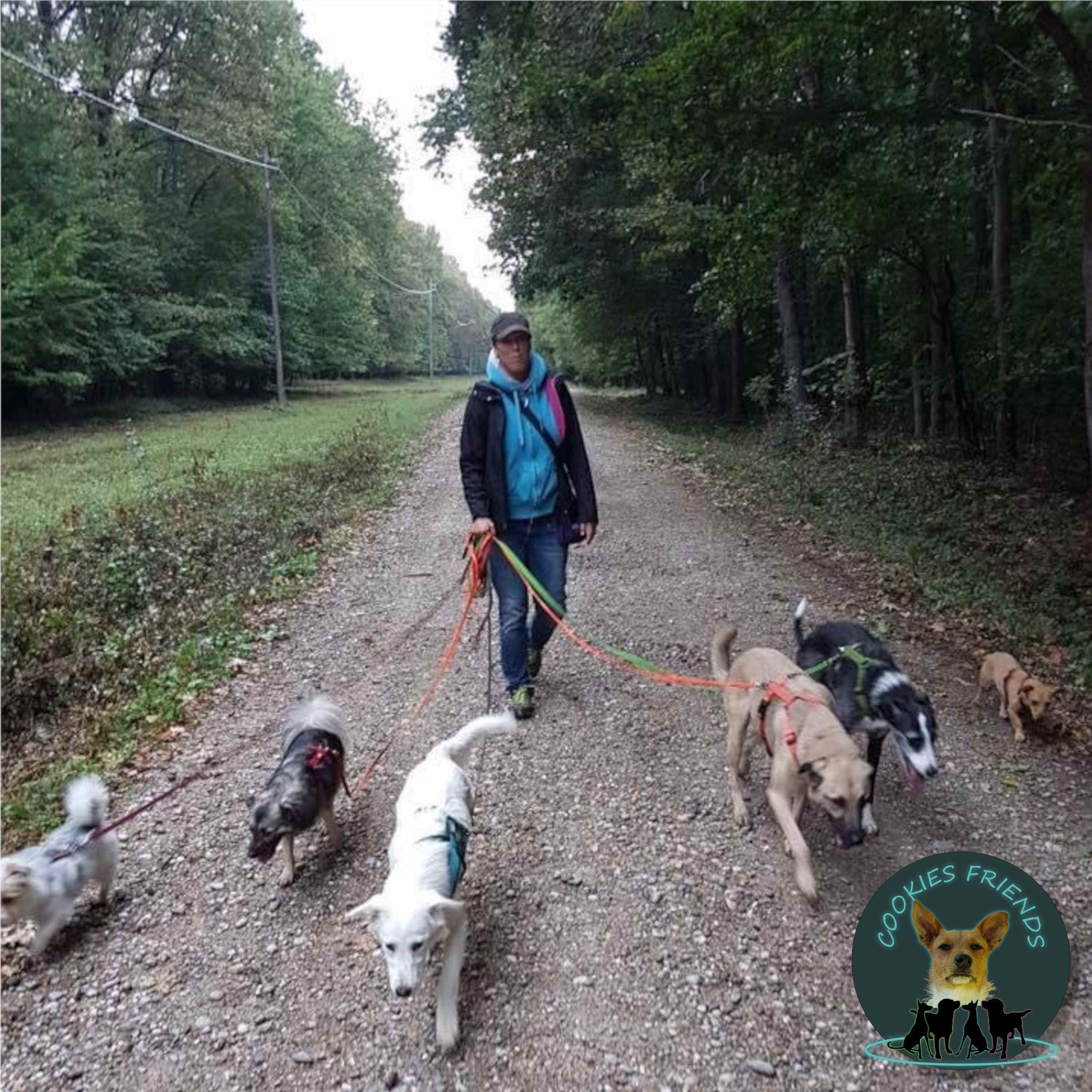 CF - 15 Sandra Pfaffinger - Tierschutz in Rumänien
