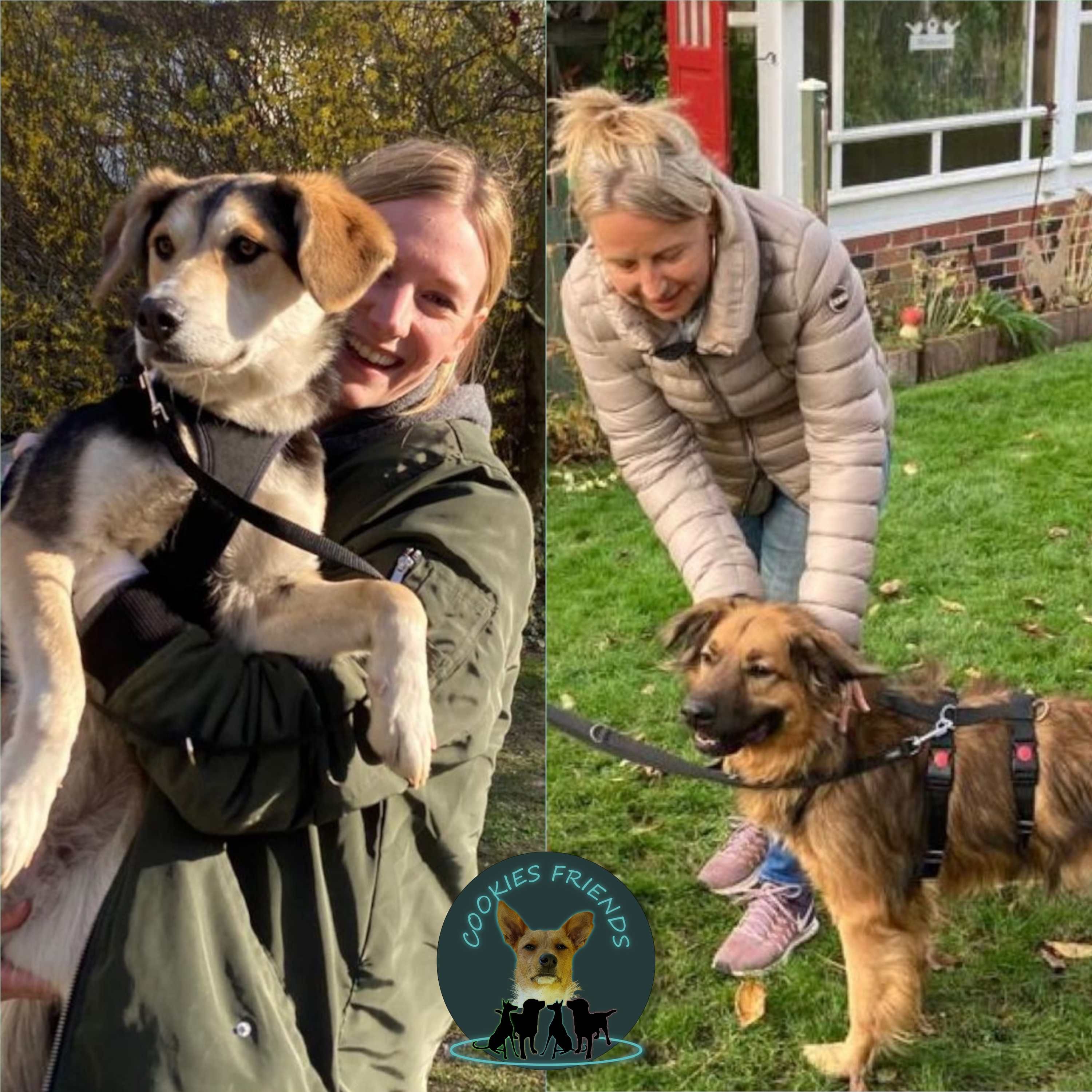 CF 24 - Animalhelp Belarus